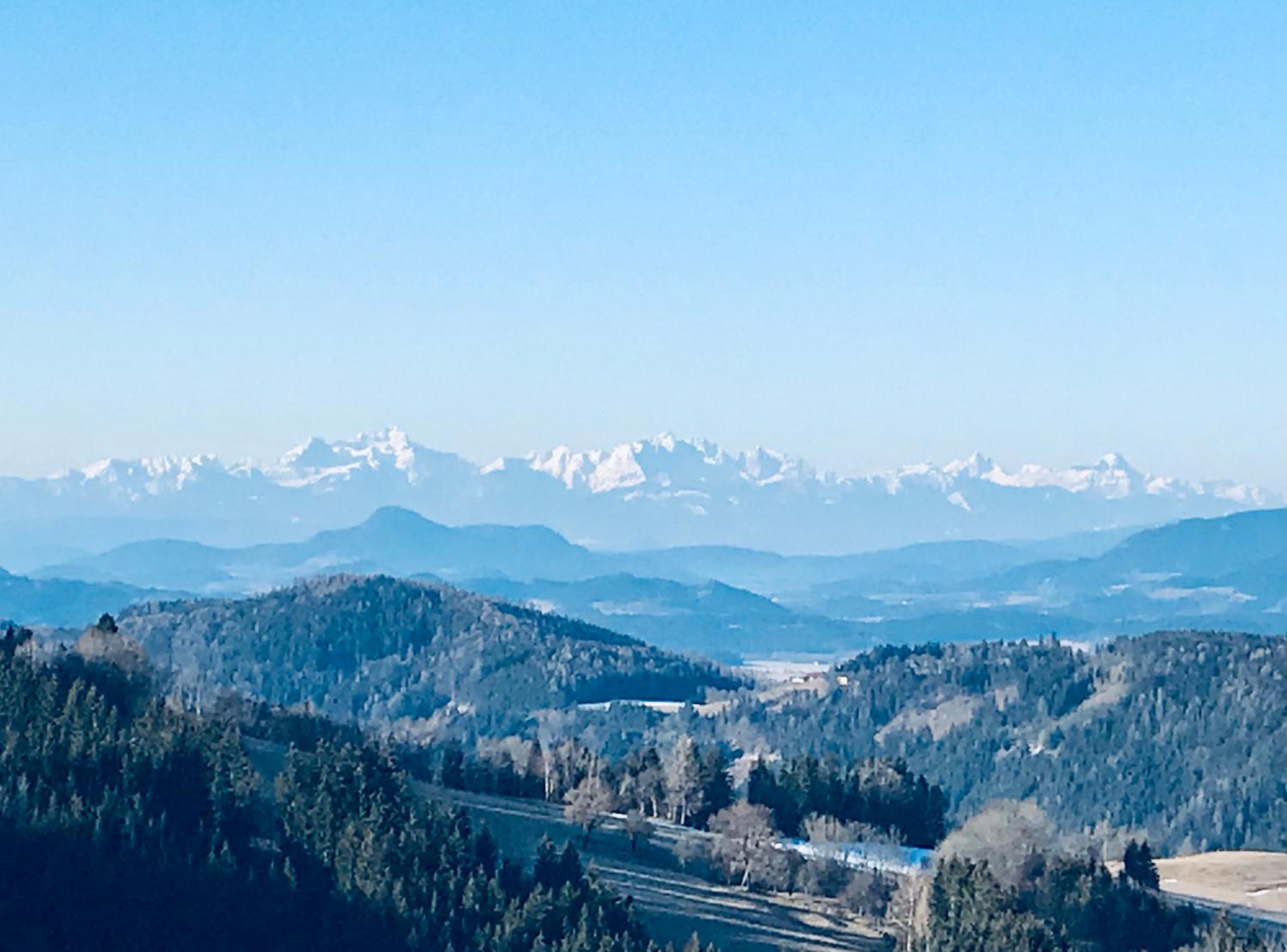 Forellenwirt Bacher