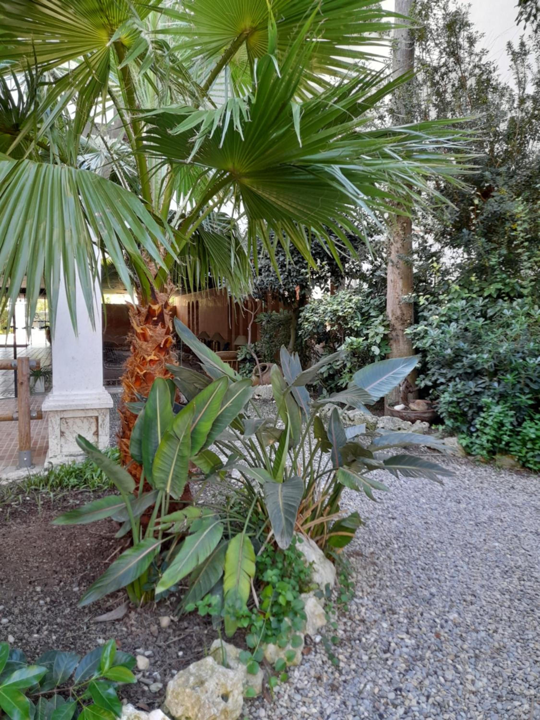 Royal Marine playa calme et cosy