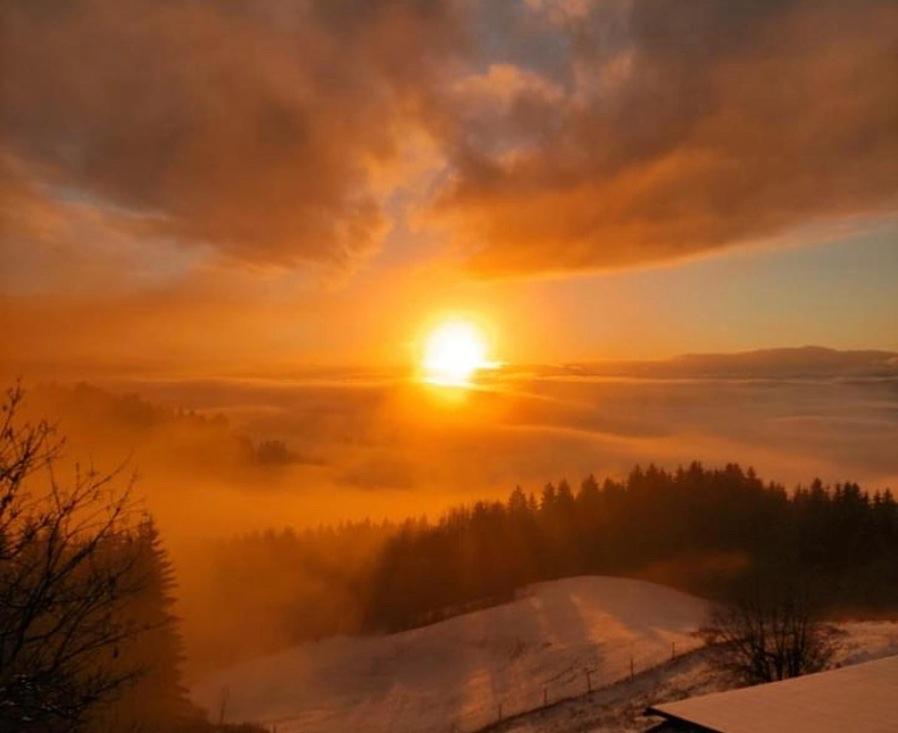 Forellenwirt Bacher