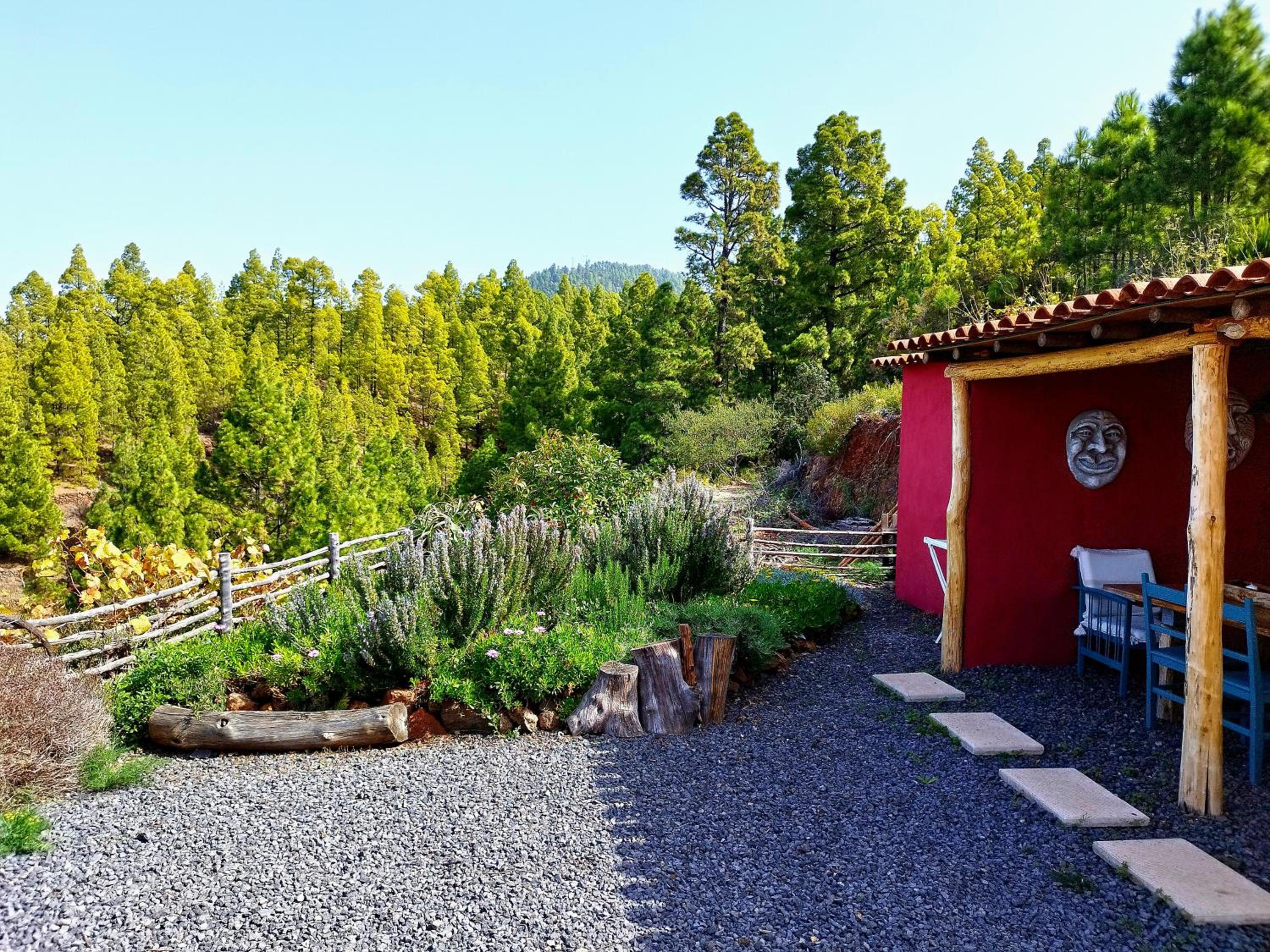 El Topo view 3