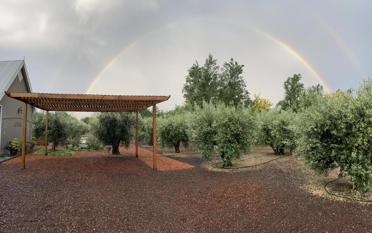 Mirihof Retreat and Olive Estate view 5