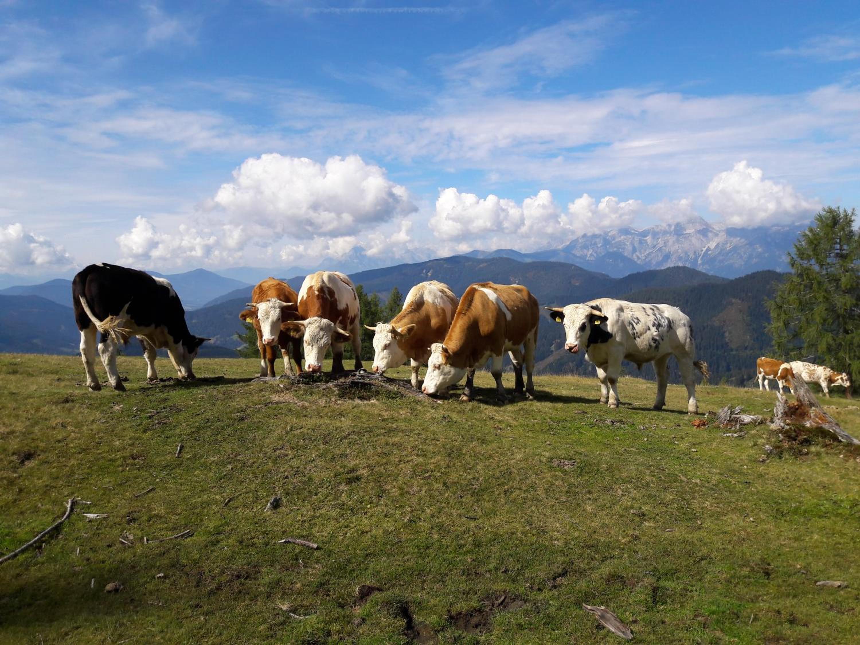 Forsterhof