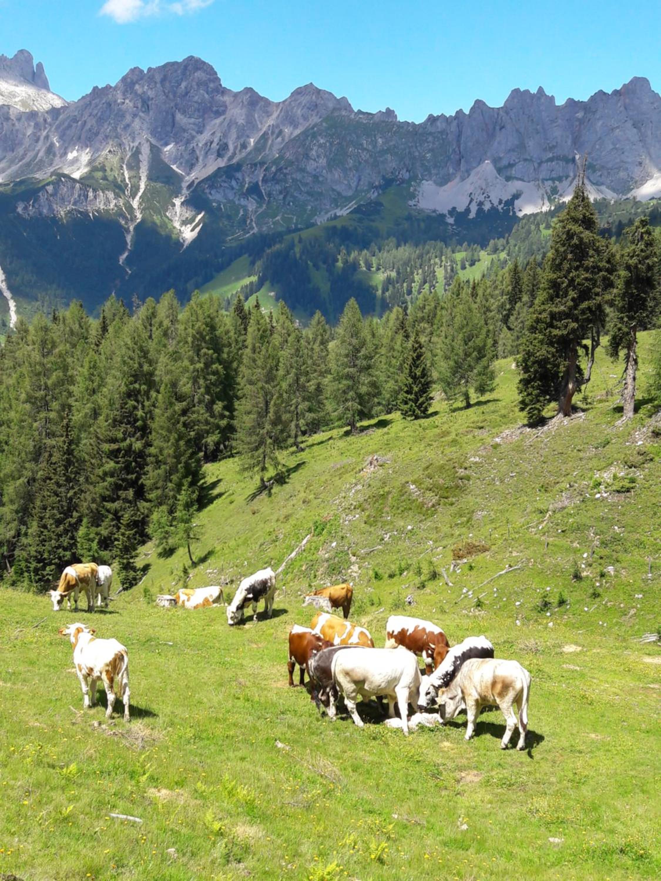 Forsterhof