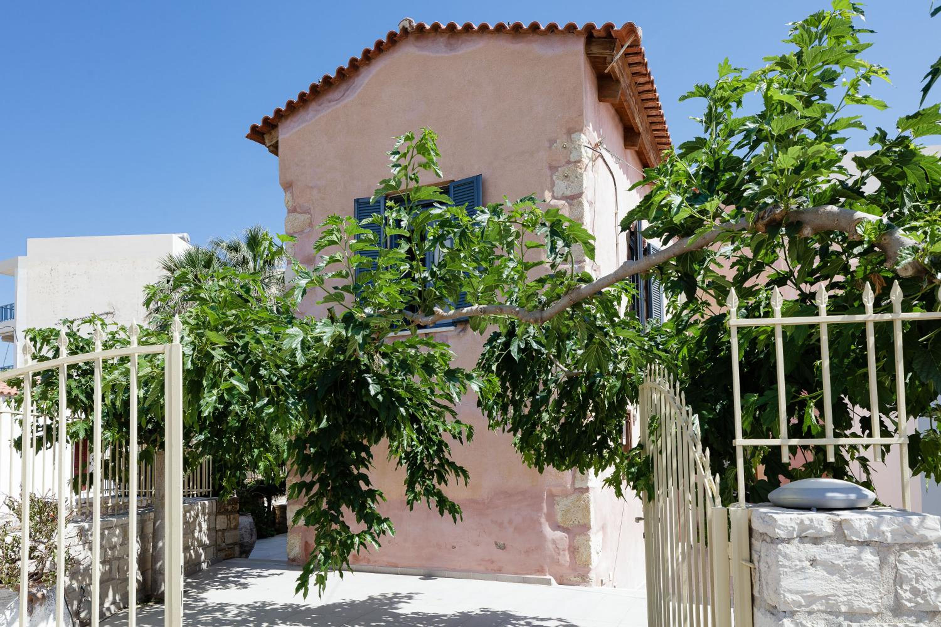 Photo 20