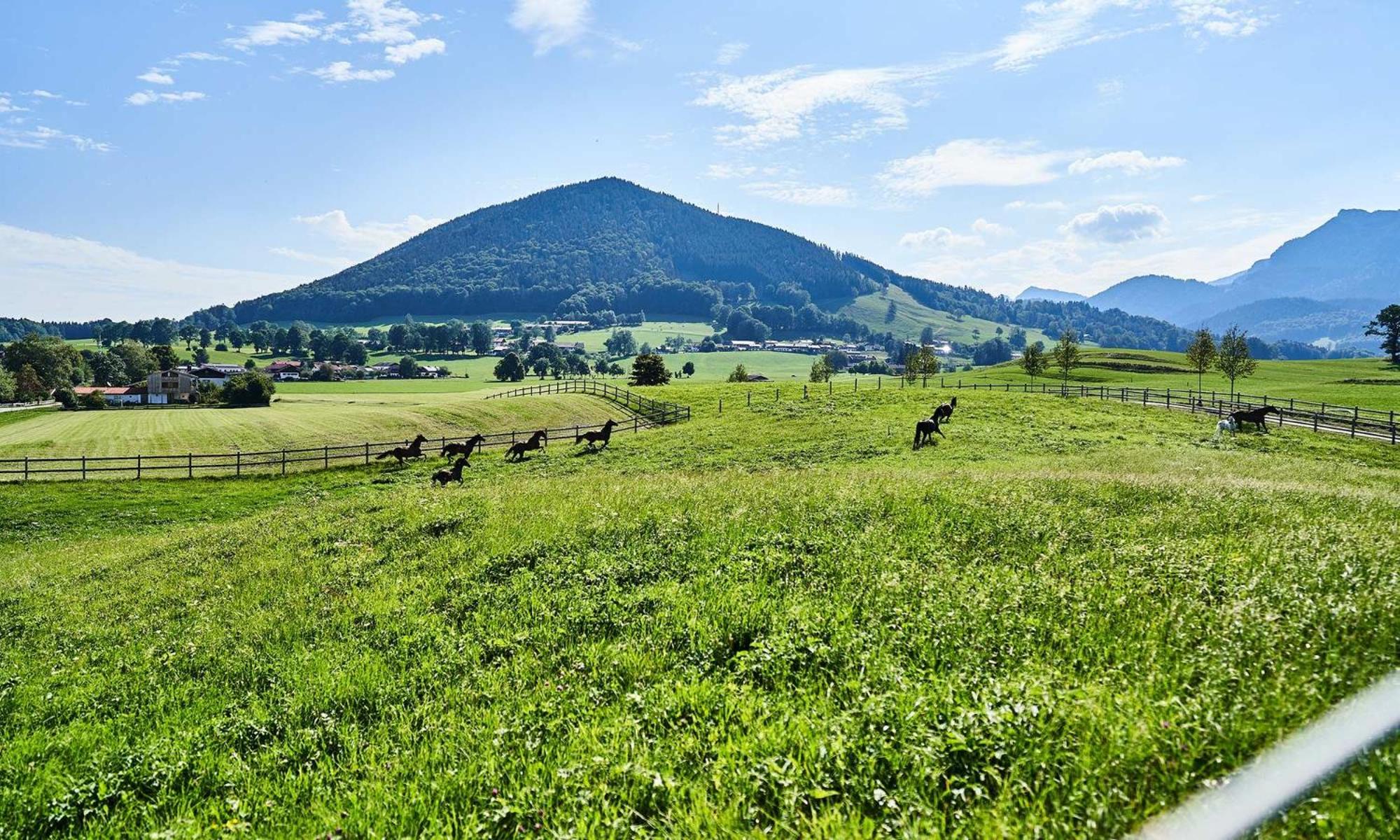 Hof Hauserbichl