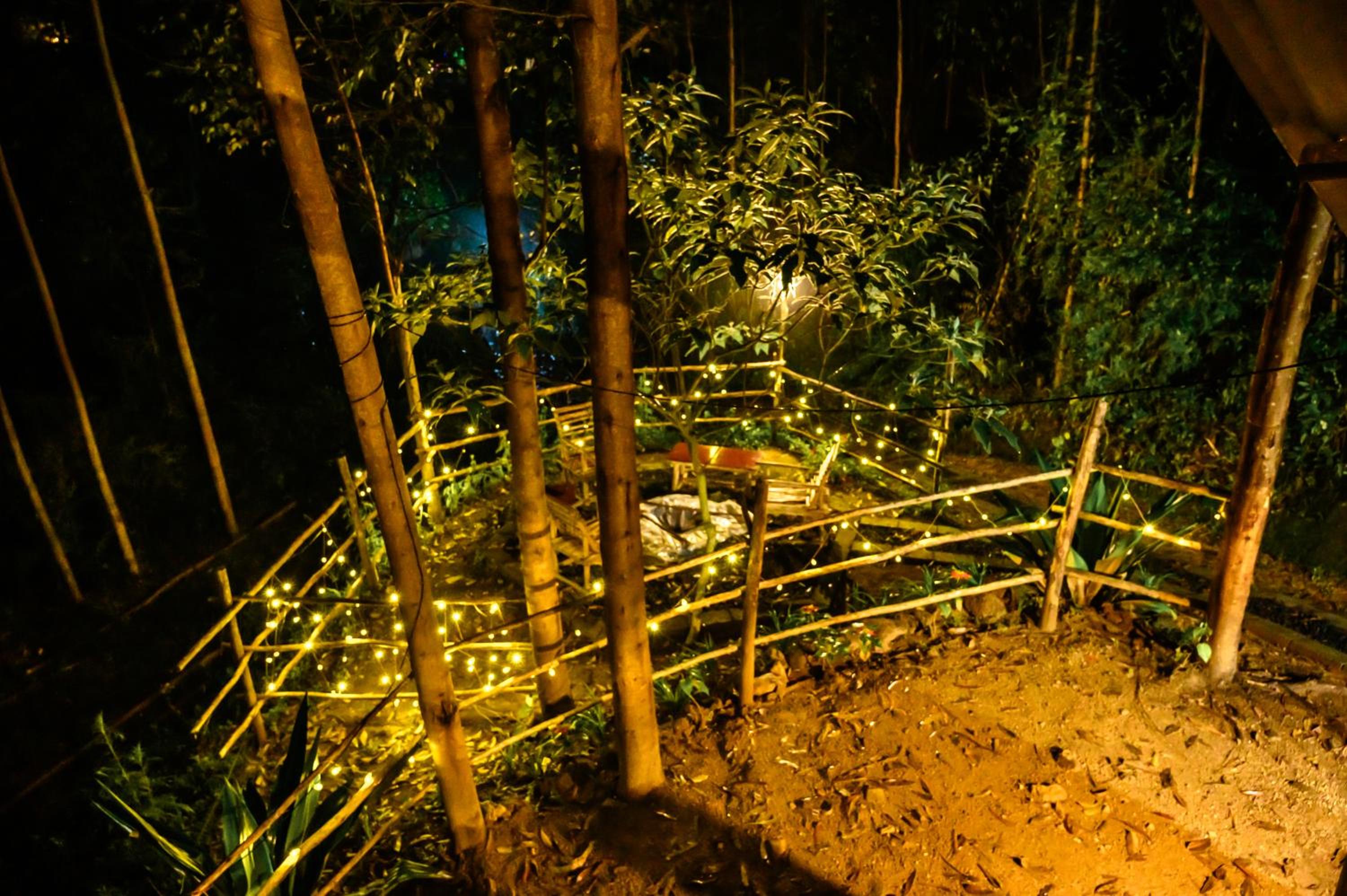 Anandavana Jungle Living By LexStays - Kanthalloor-Marayur view 3
