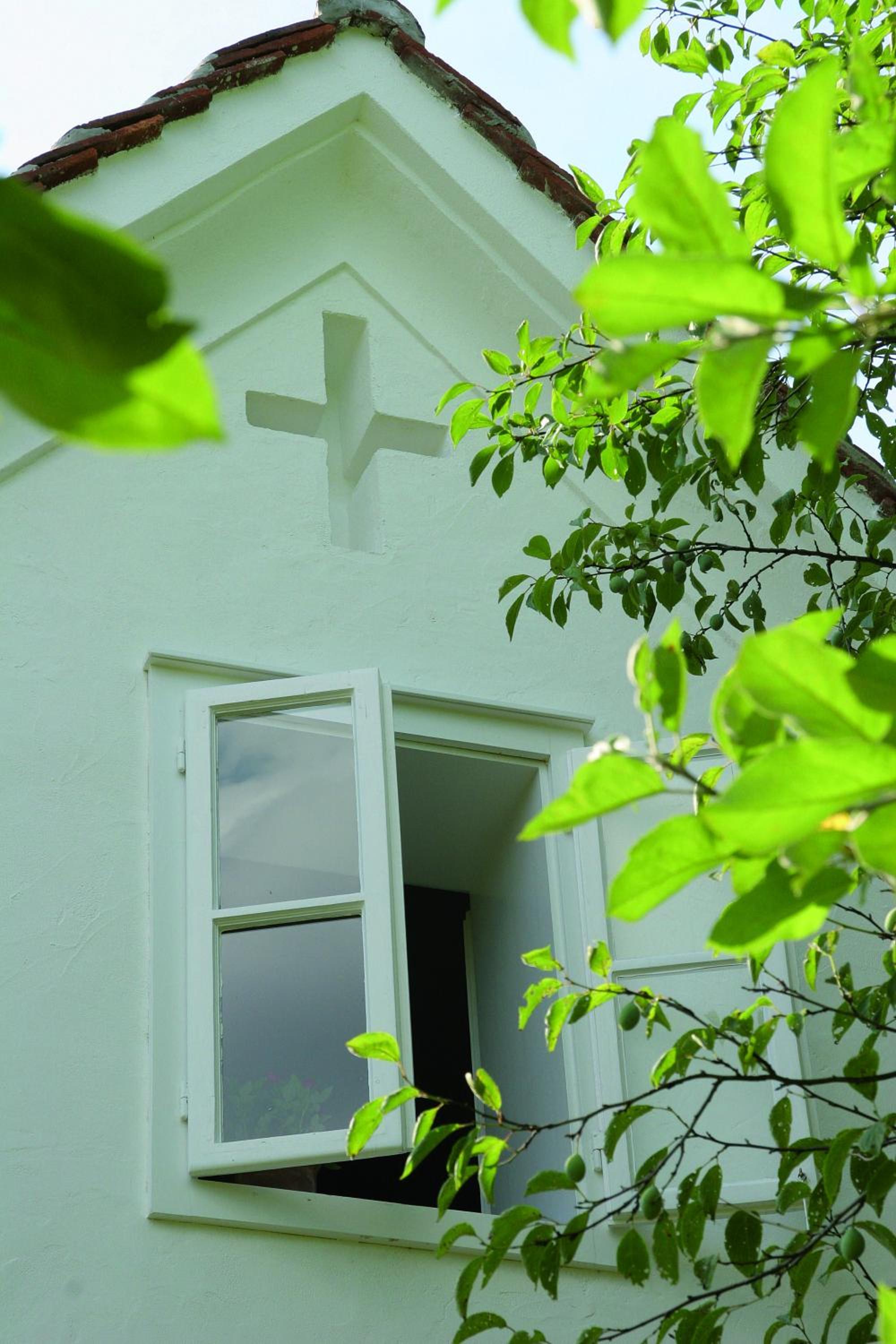 Weinberg 12