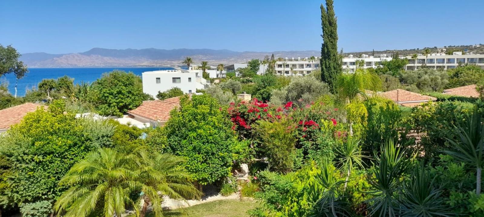 Rafaella villa in Latchi with private garden