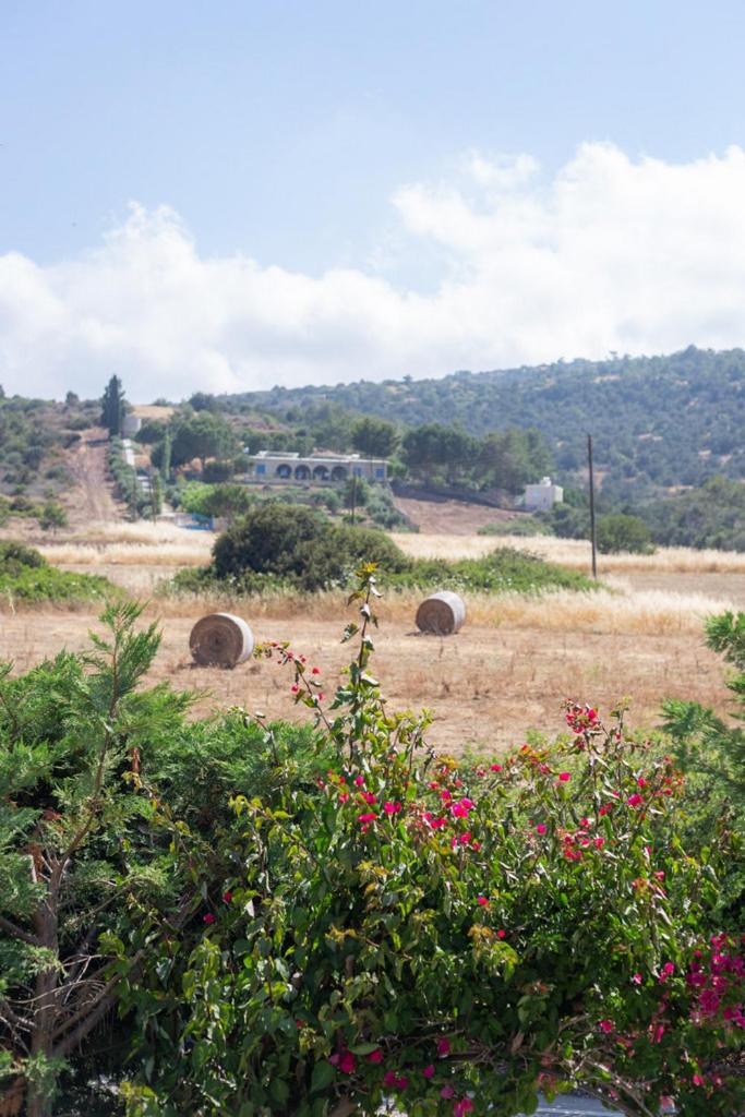 Rafaella villa in Latchi with private garden