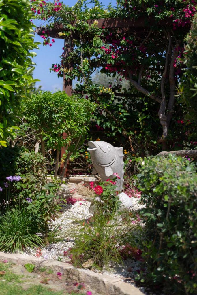 Rafaella villa in Latchi with private garden