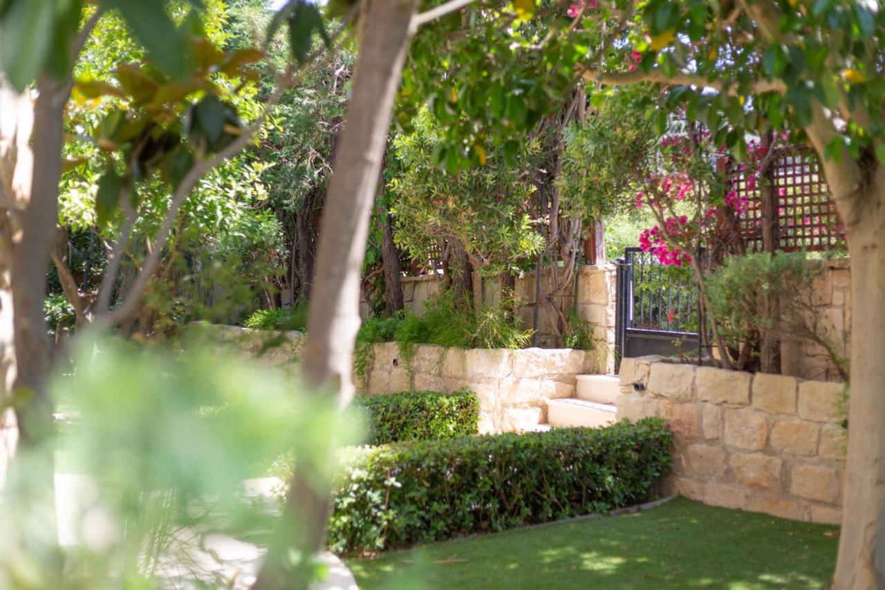 Rafaella villa in Latchi with private garden