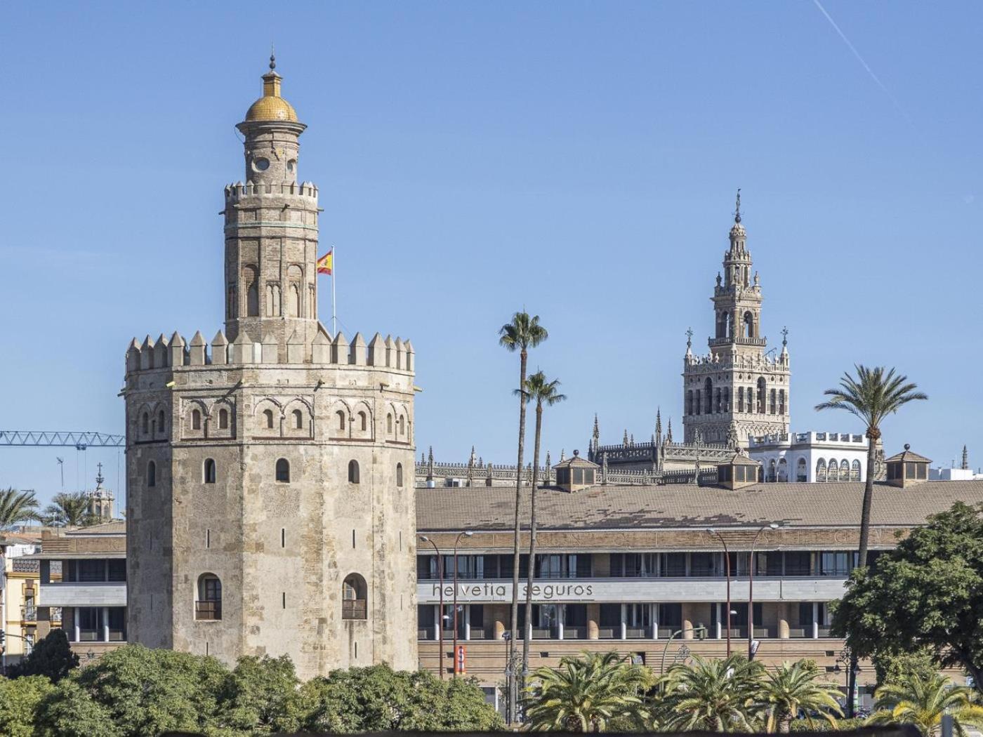 Pureza dreams de Sevilla Oasis en Triana