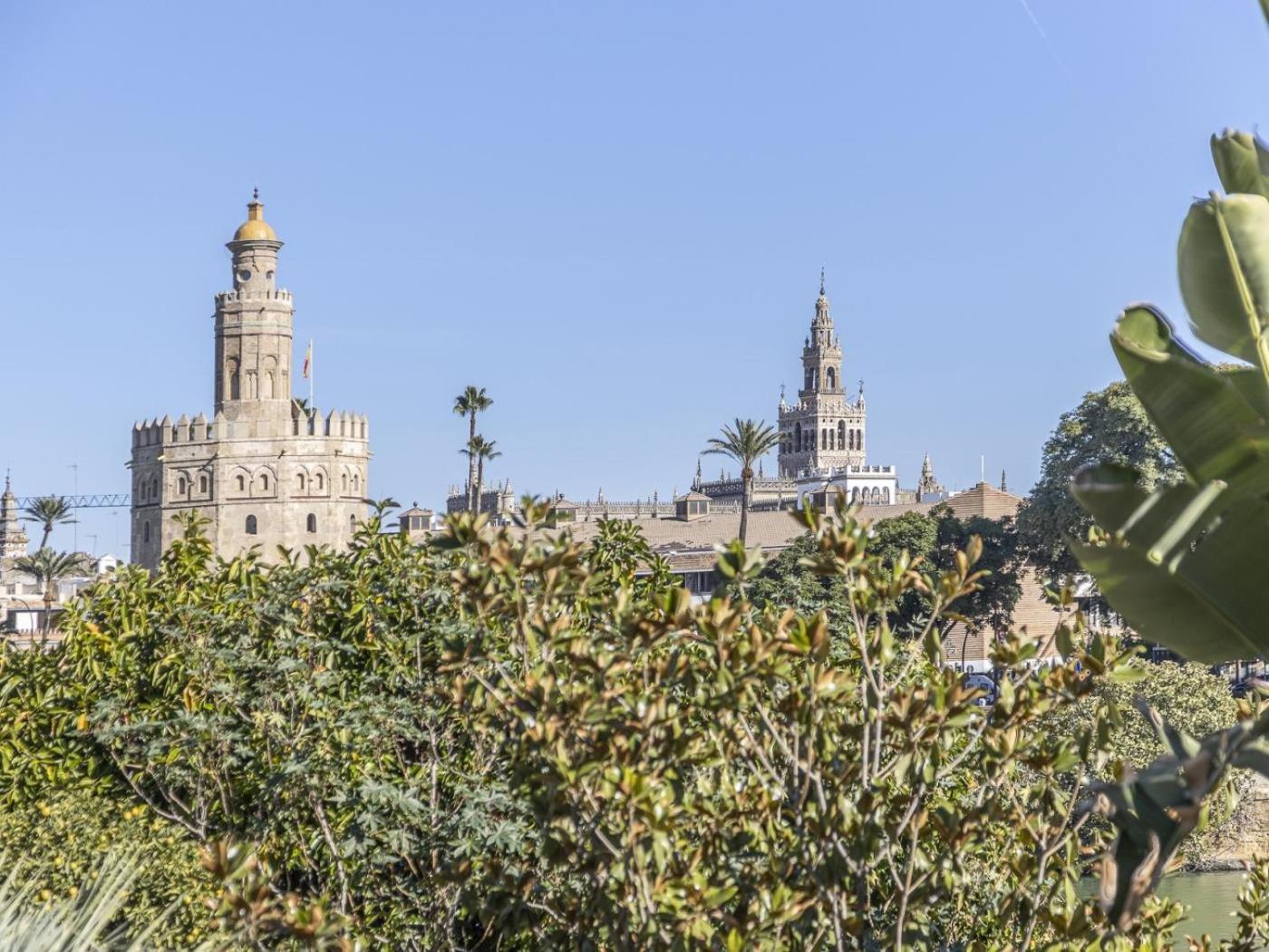 Pureza dreams de Sevilla Oasis en Triana