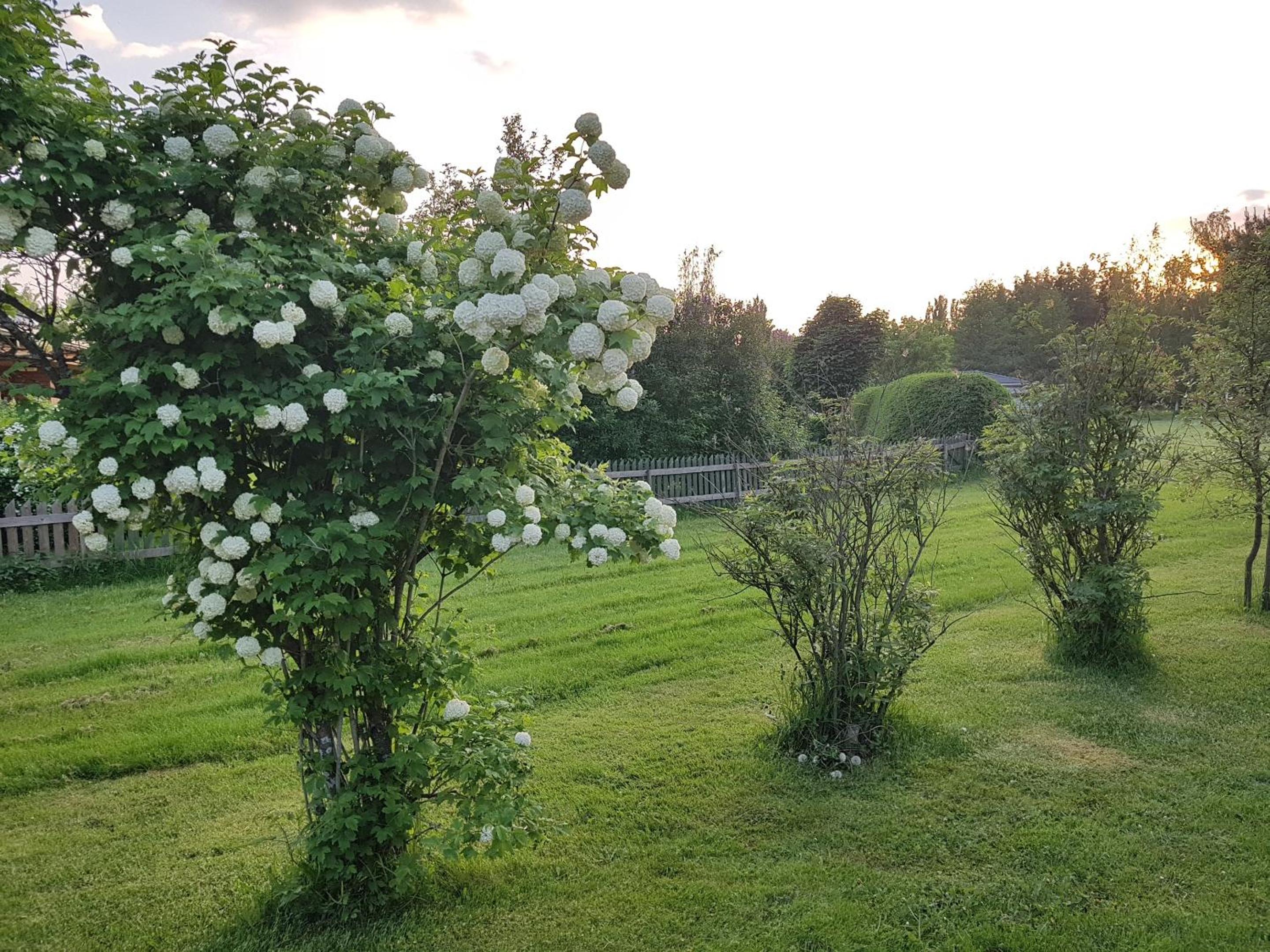 Tallitalo, Spacious and Peaceful Apartment in Nakkila