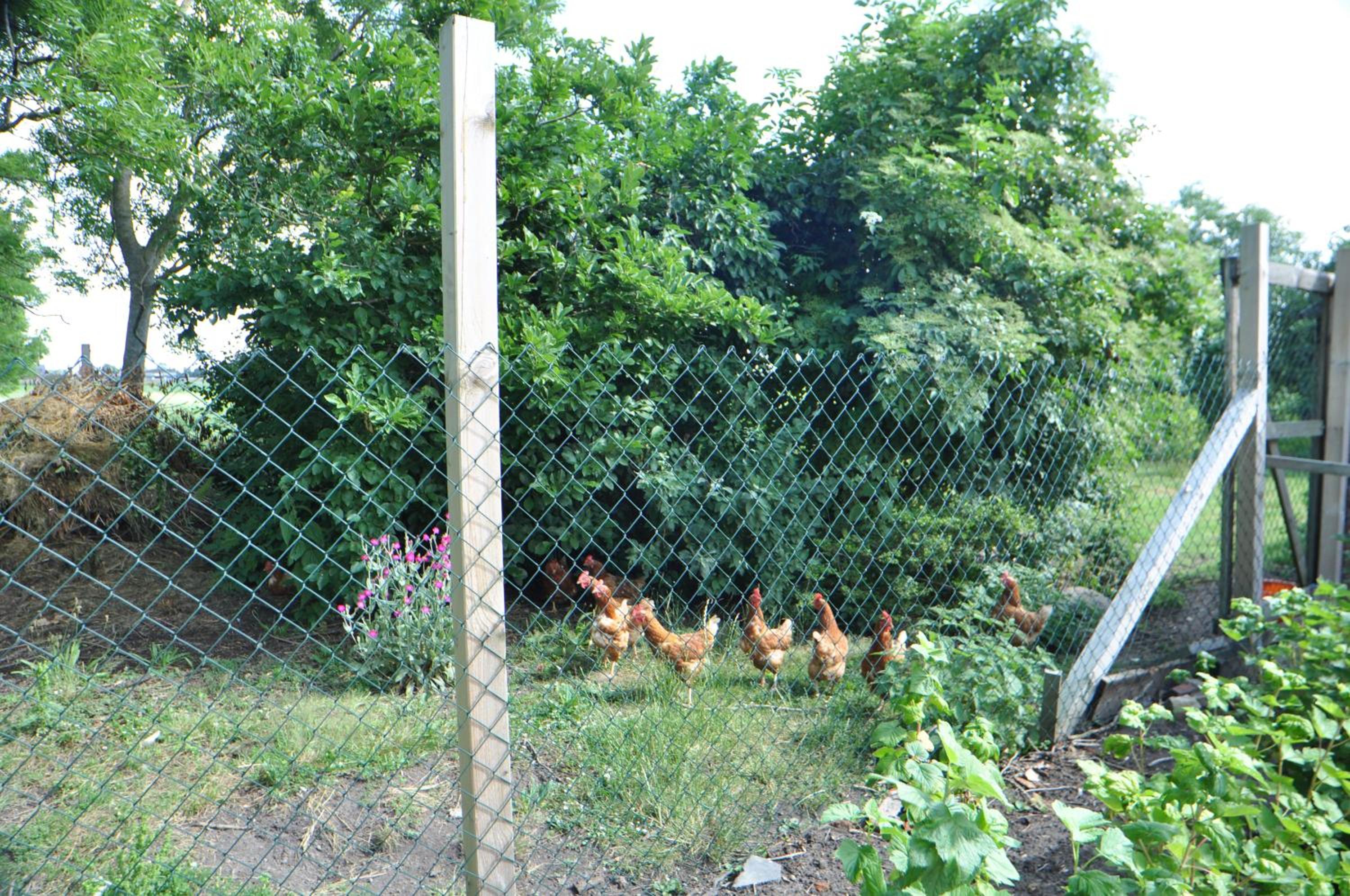 Ferienwohnung Landliebe 65347