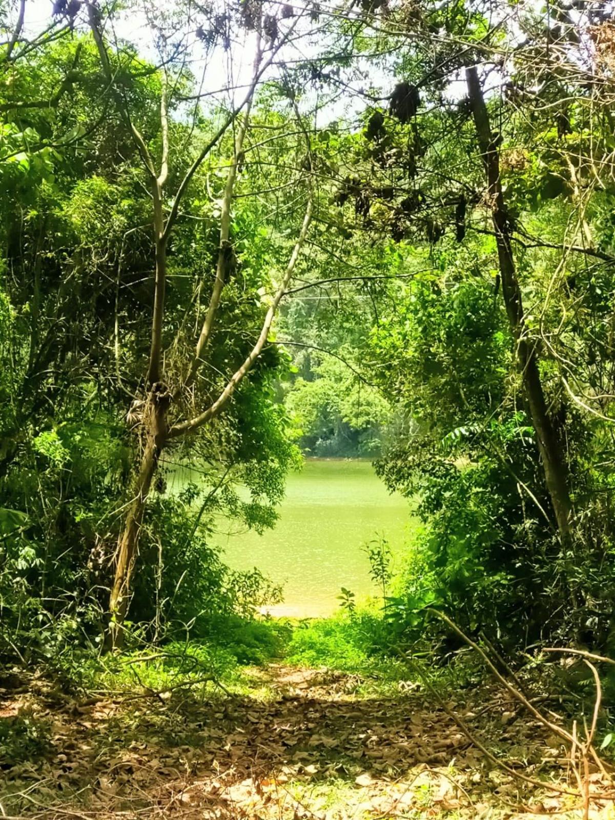 Casa das Lavandas represa de Nazaré Paulista