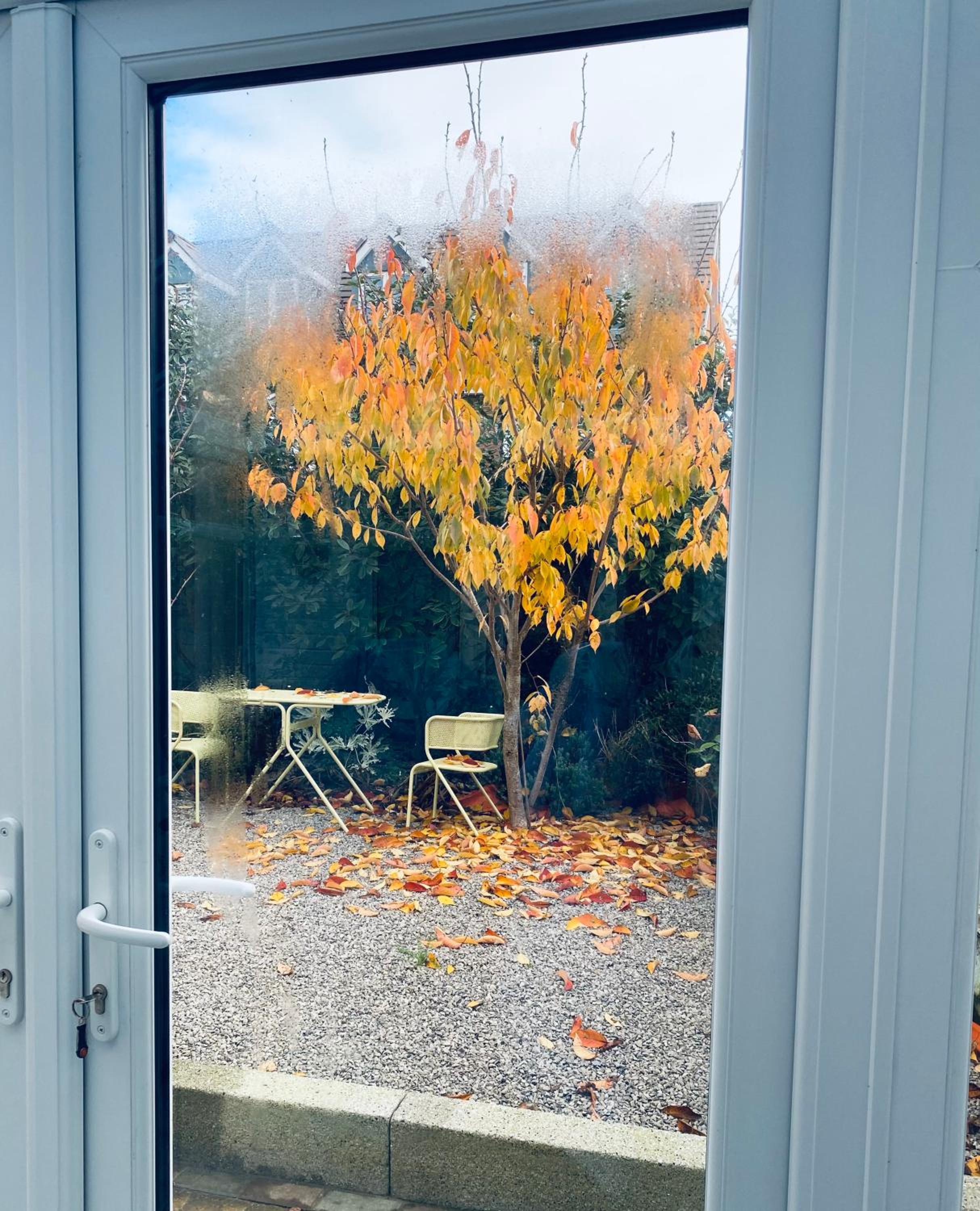 Angmering Home