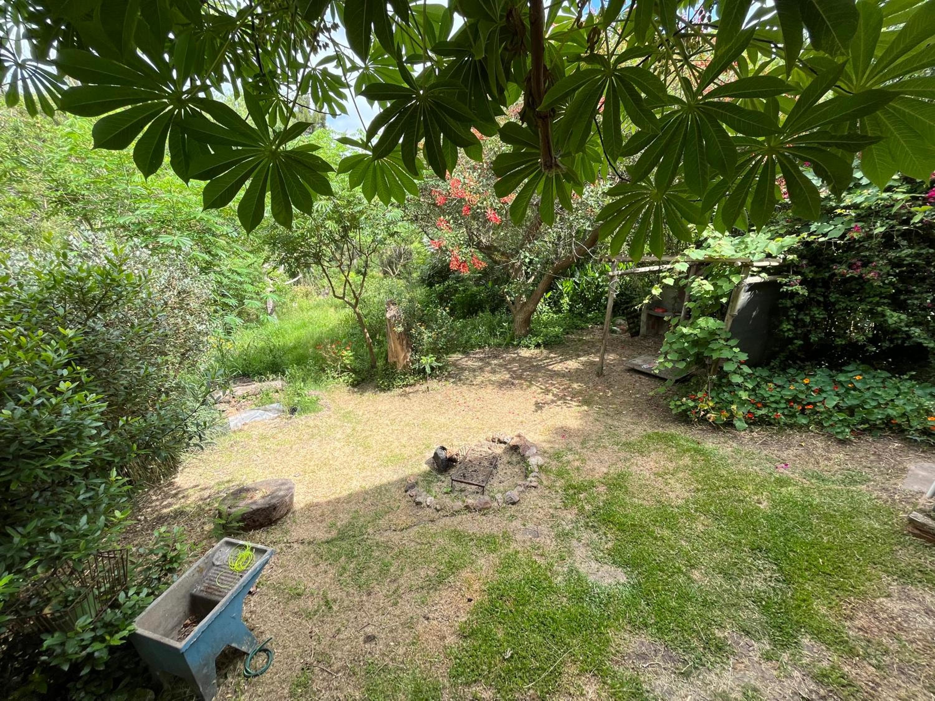 Photo 22