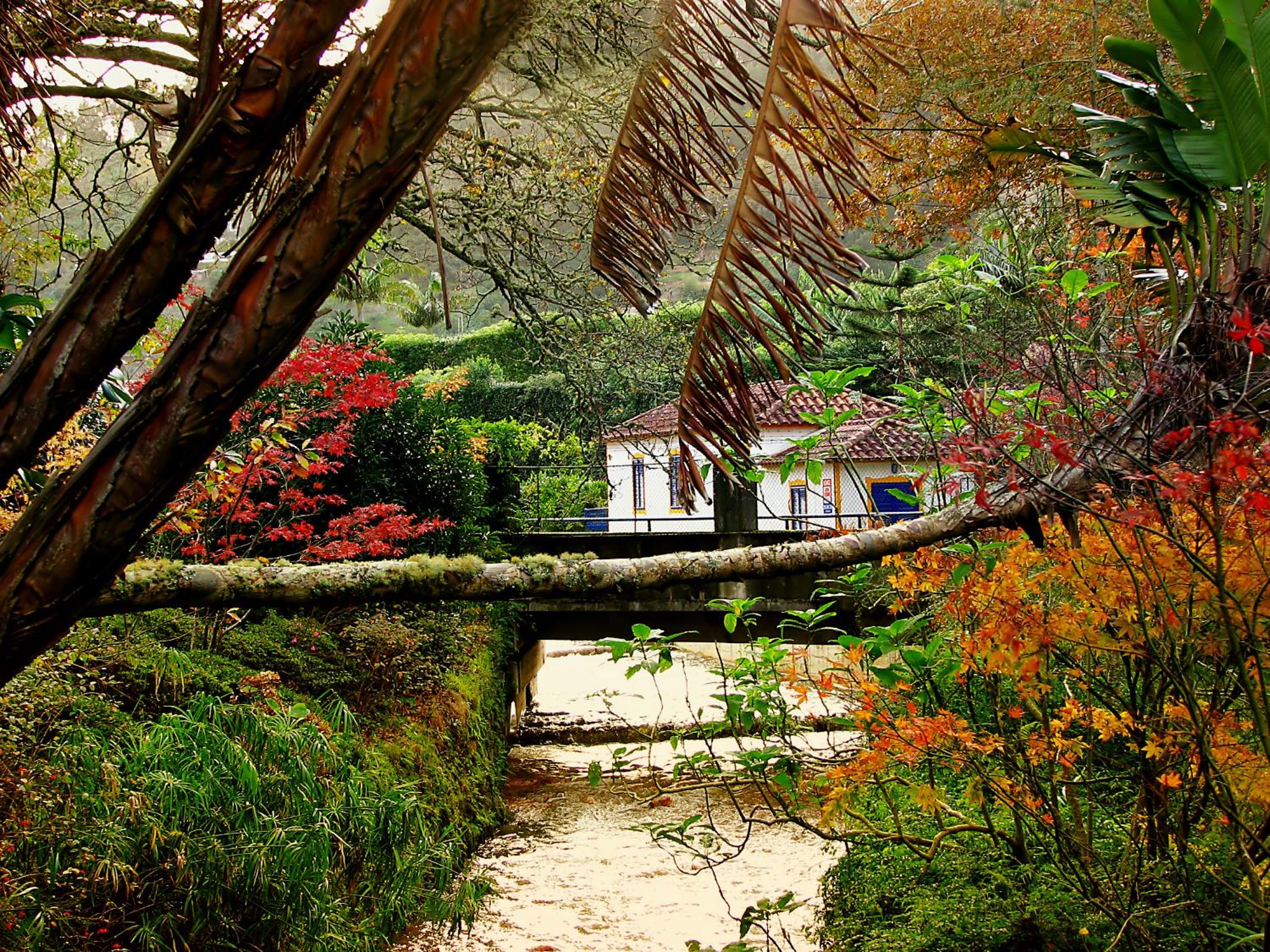 Casa da Tia Luísa view 4