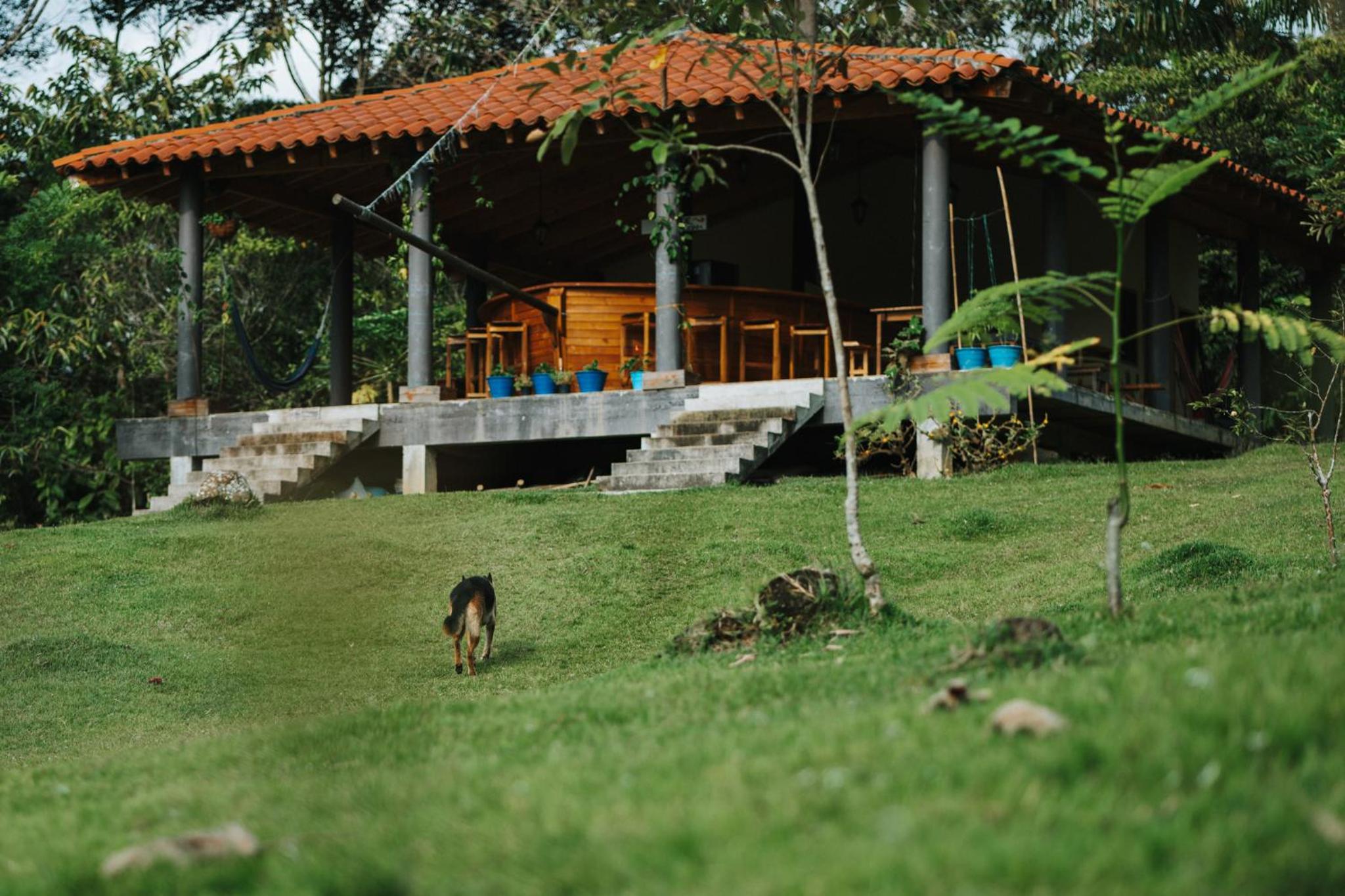 La Perla Negra Eco-Lodge & Hostel