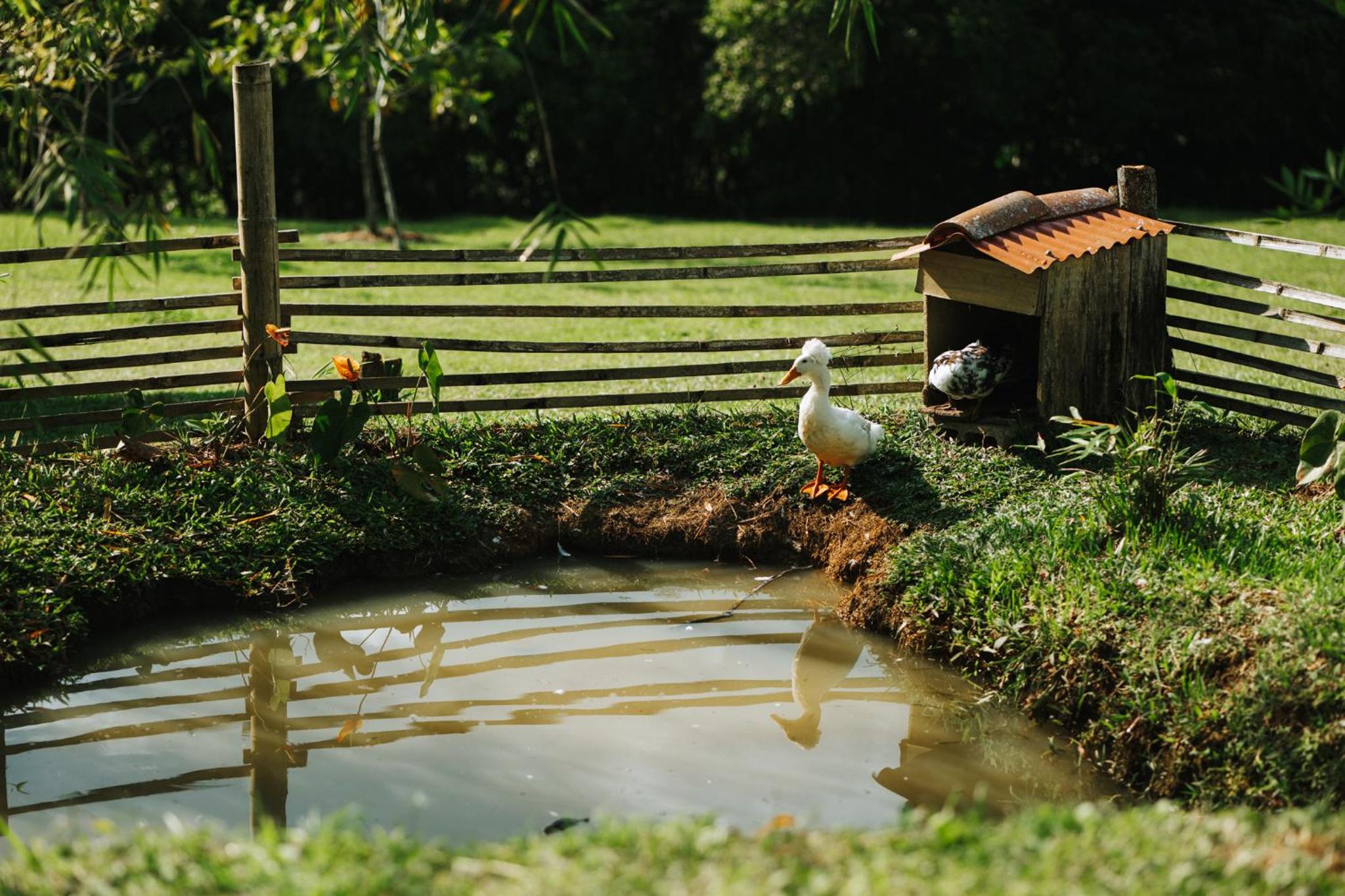 La Perla Negra Eco-Lodge & Hostel