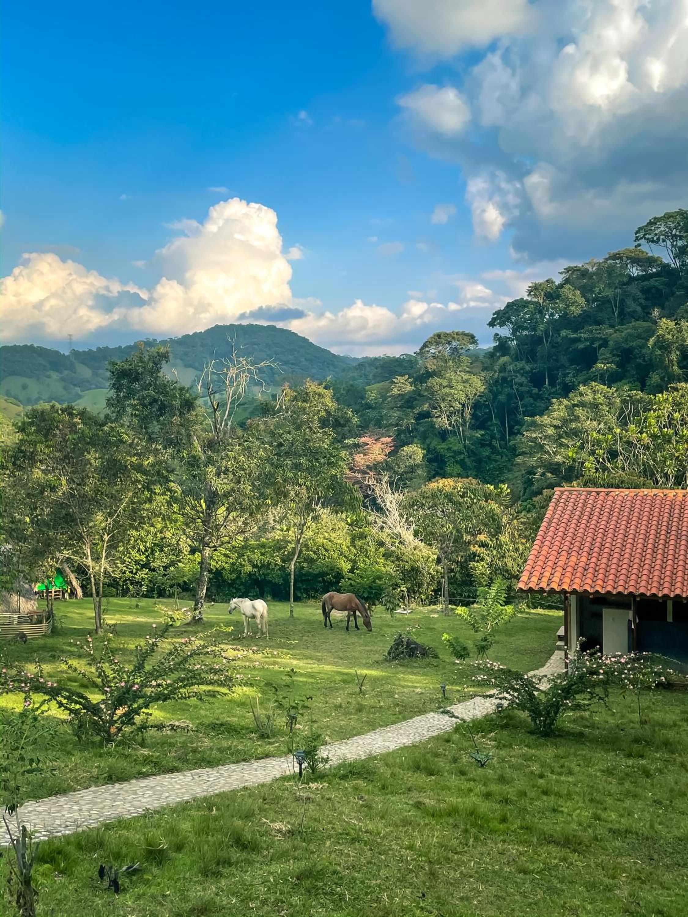 La Perla Negra Eco-Lodge & Hostel