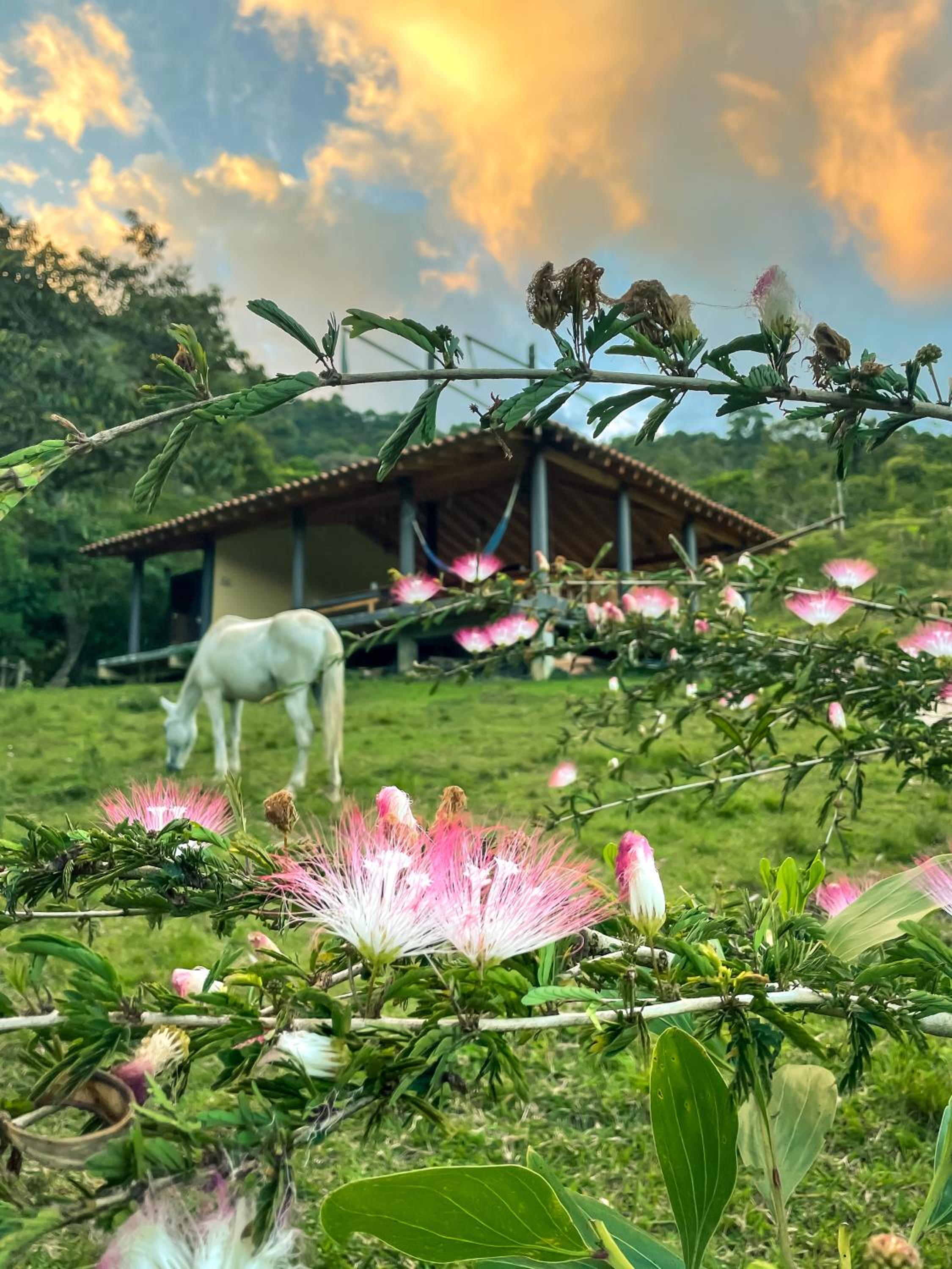 La Perla Negra Eco-Lodge & Hostel