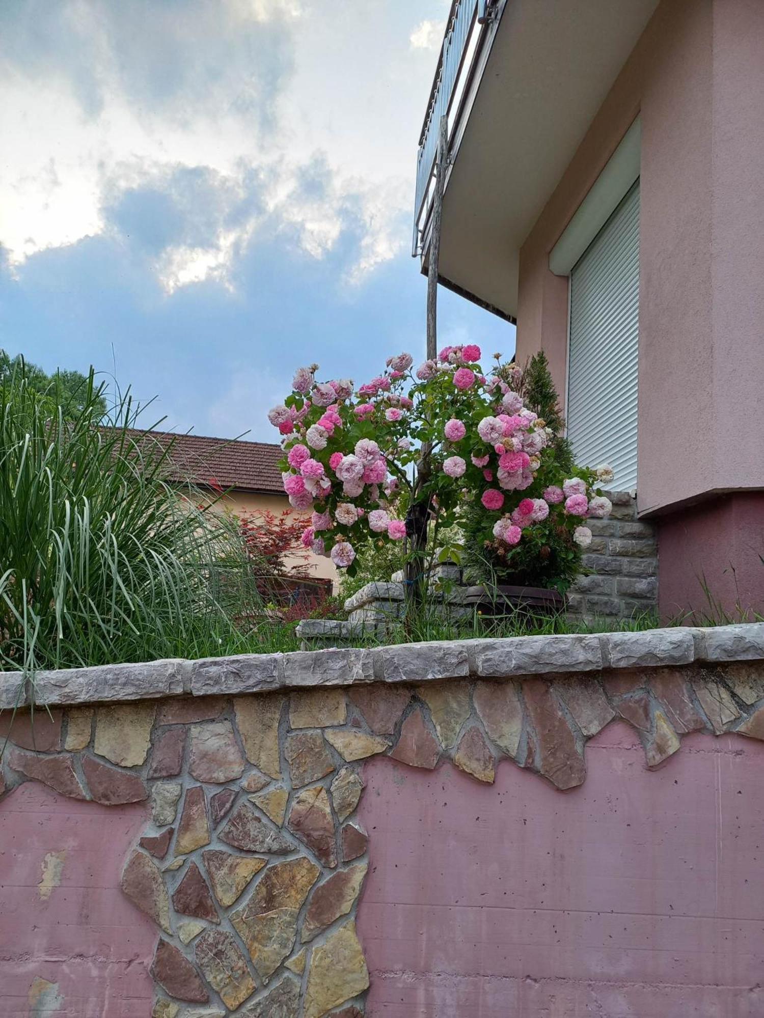 Photo 33