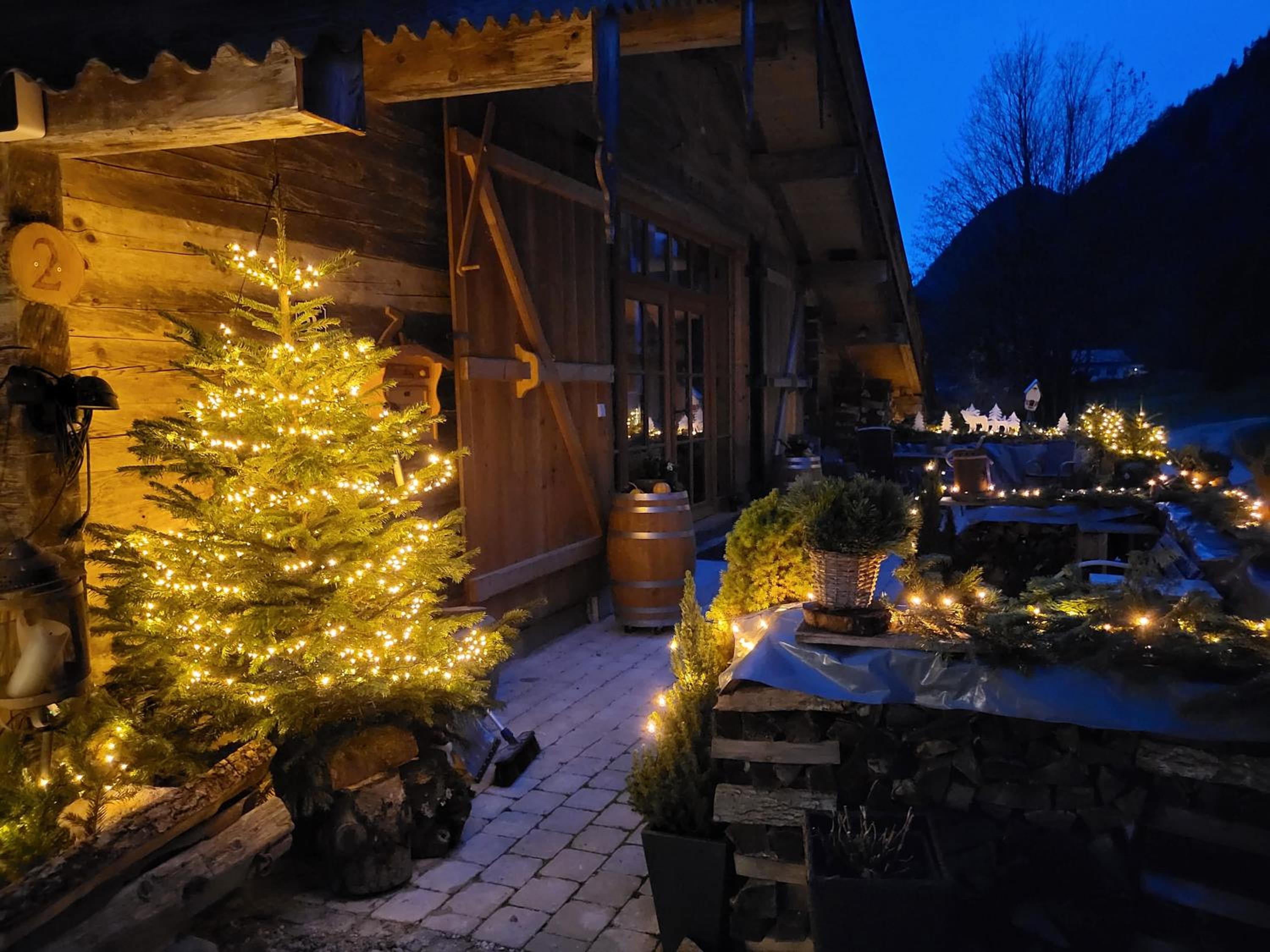 Nickis Bergcamp