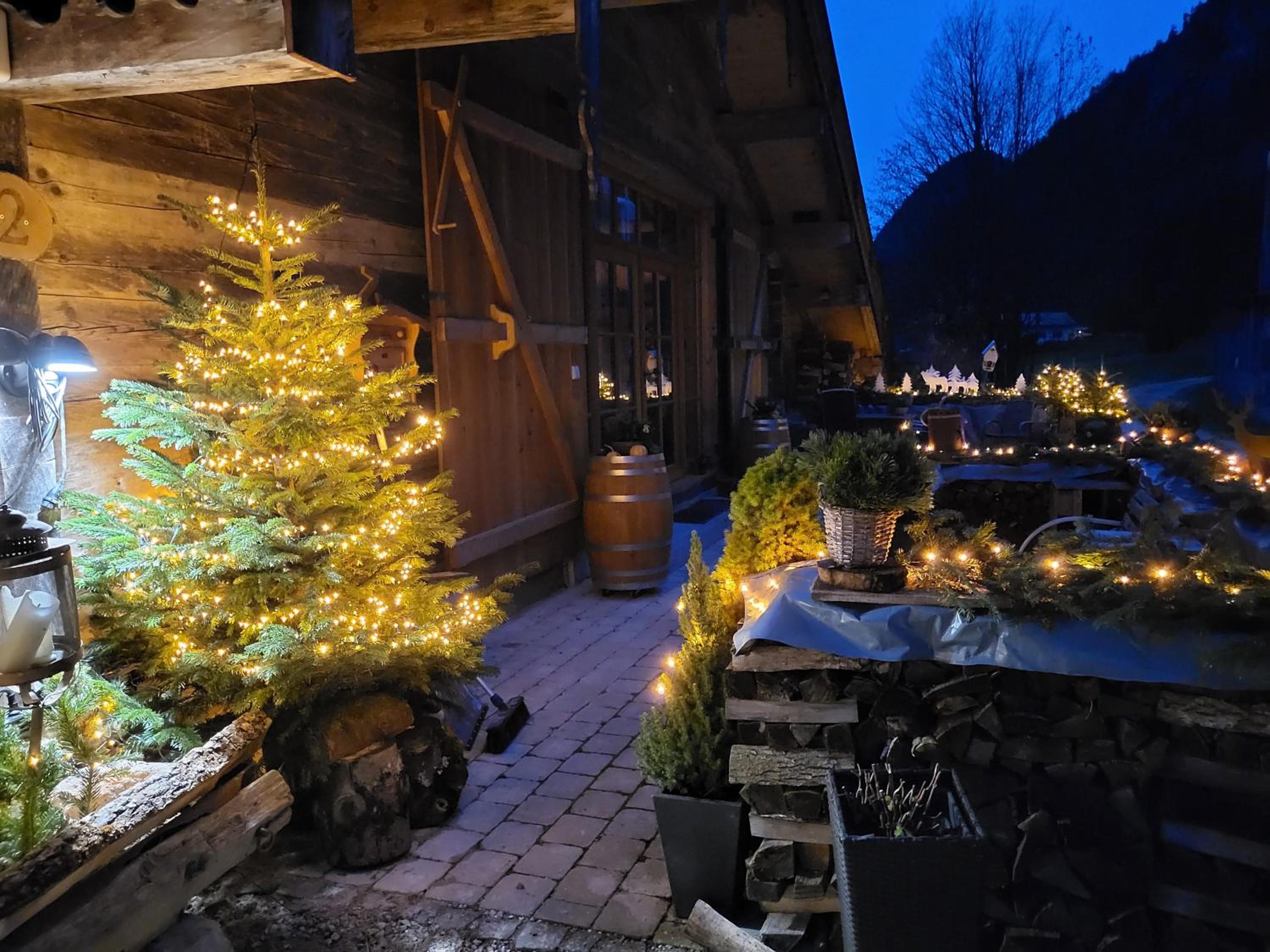 Nickis Bergcamp