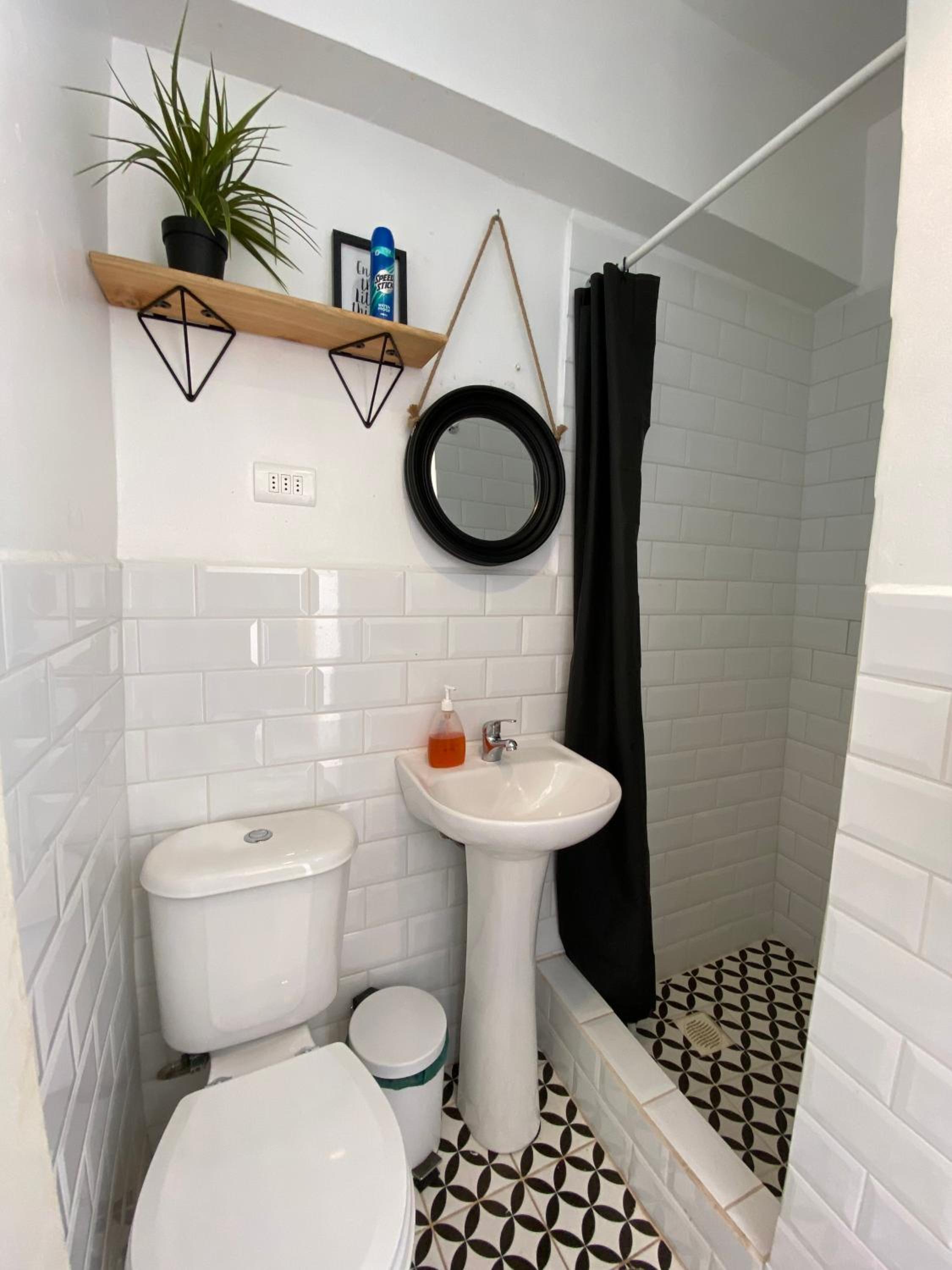 Rey Lagarto Hostel