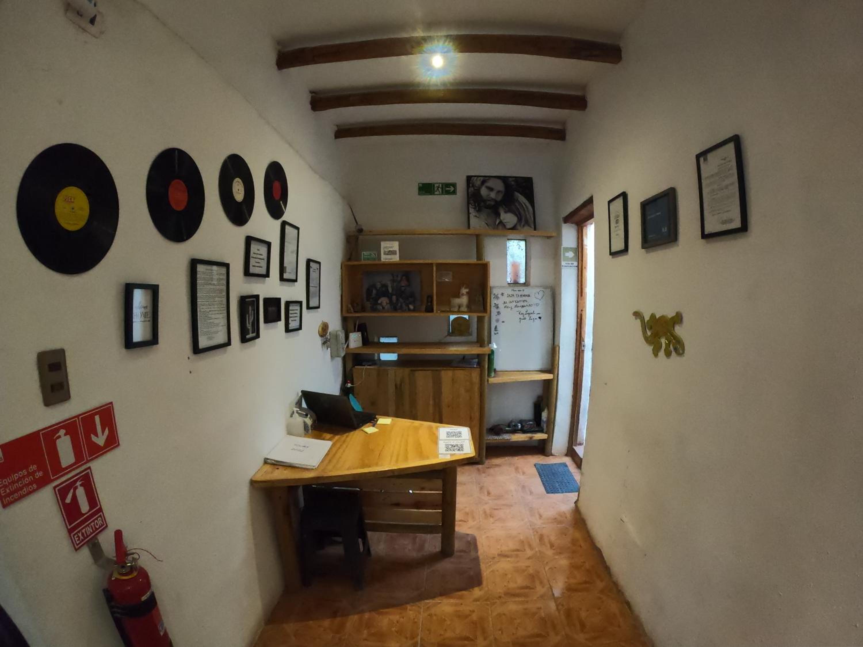Rey Lagarto Hostel
