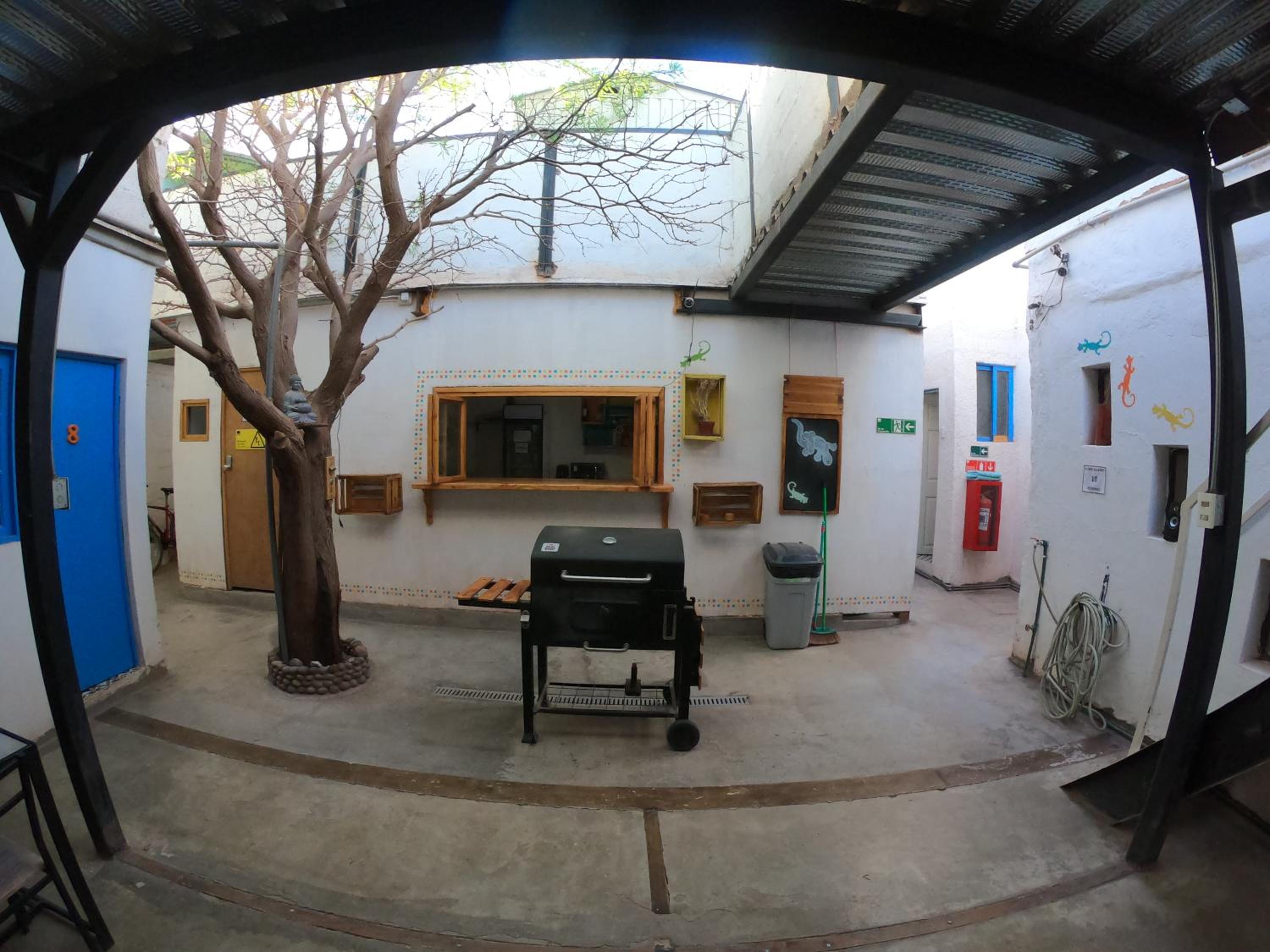 Rey Lagarto Hostel
