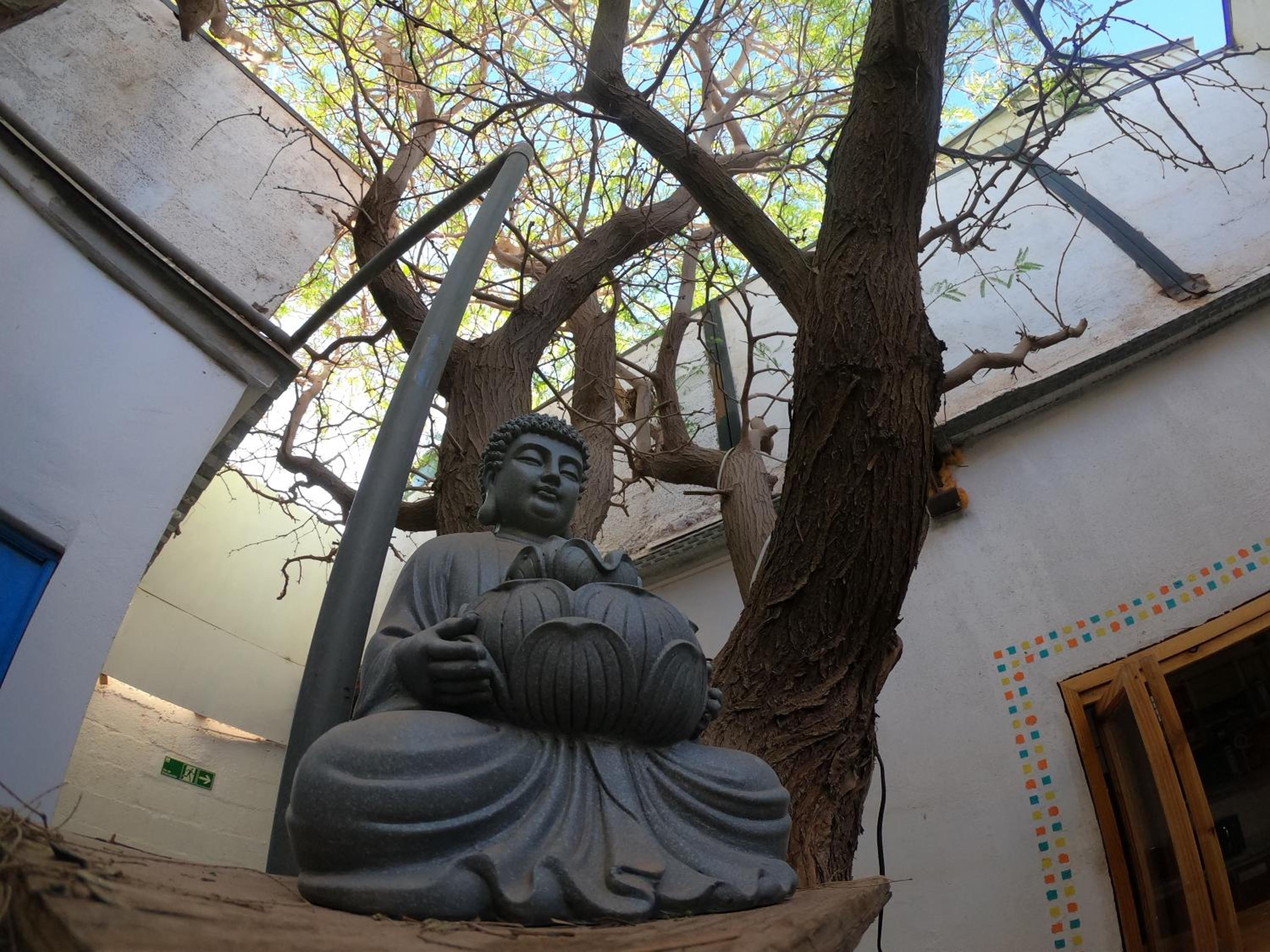 Rey Lagarto Hostel