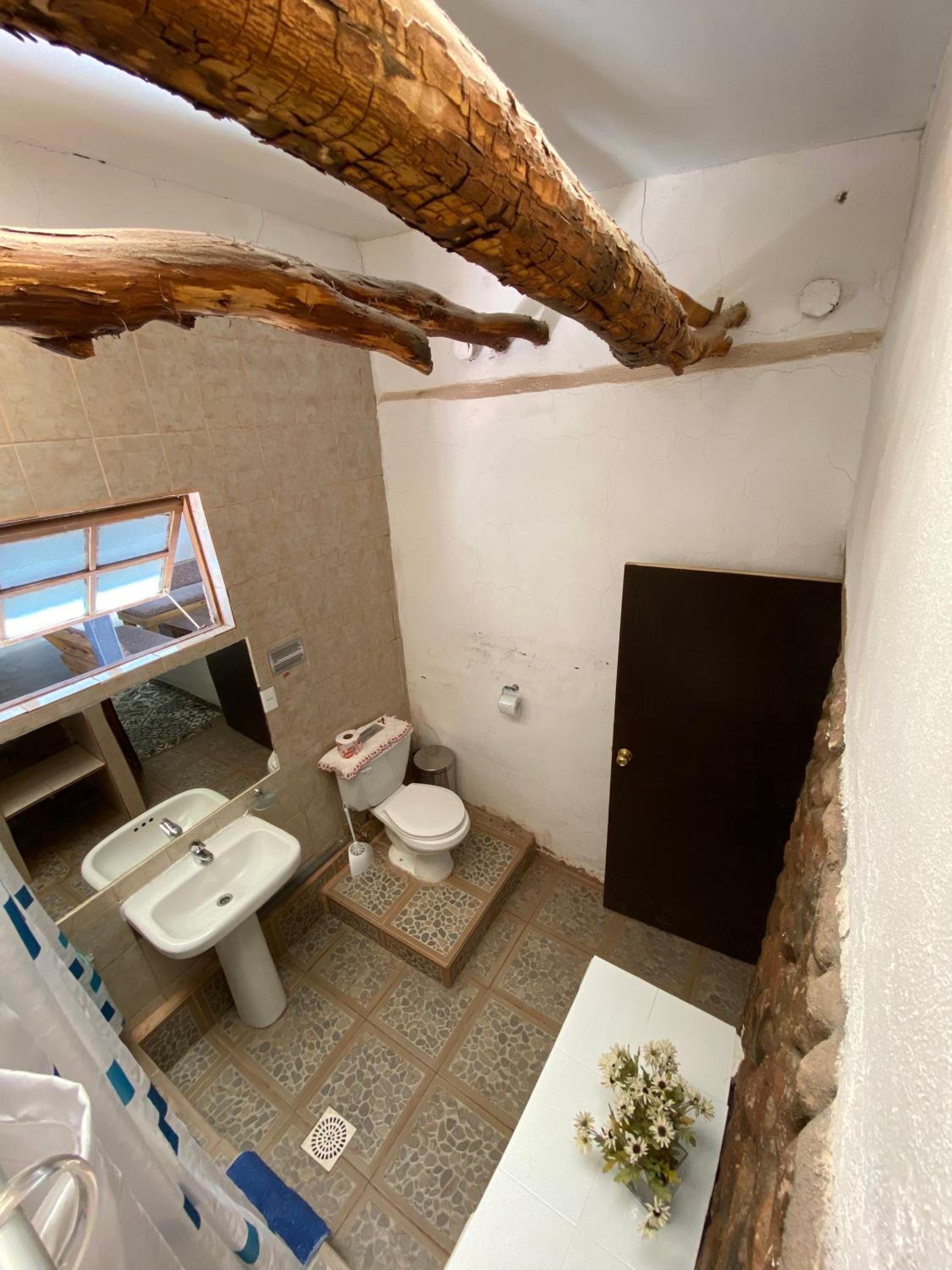 Rey Lagarto Hostel