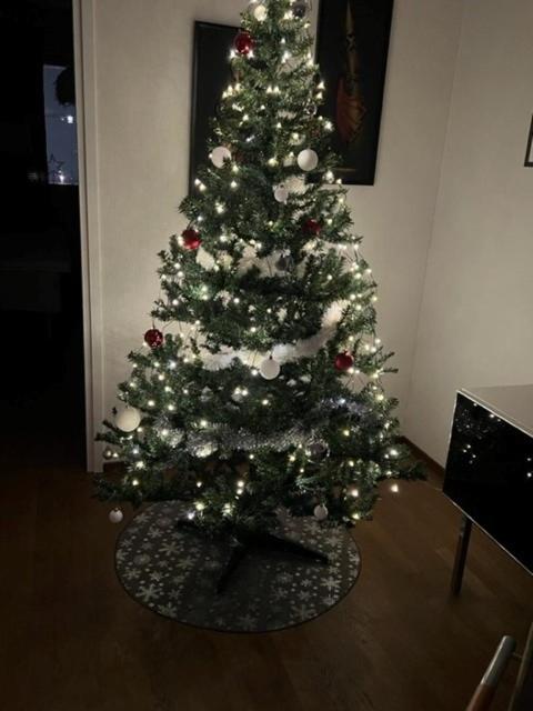 Photo 17