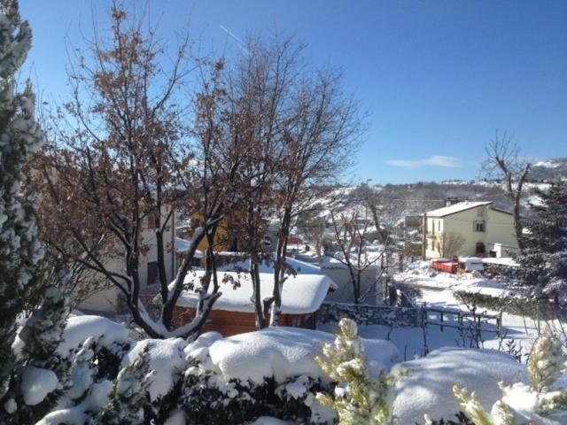 Photo 21