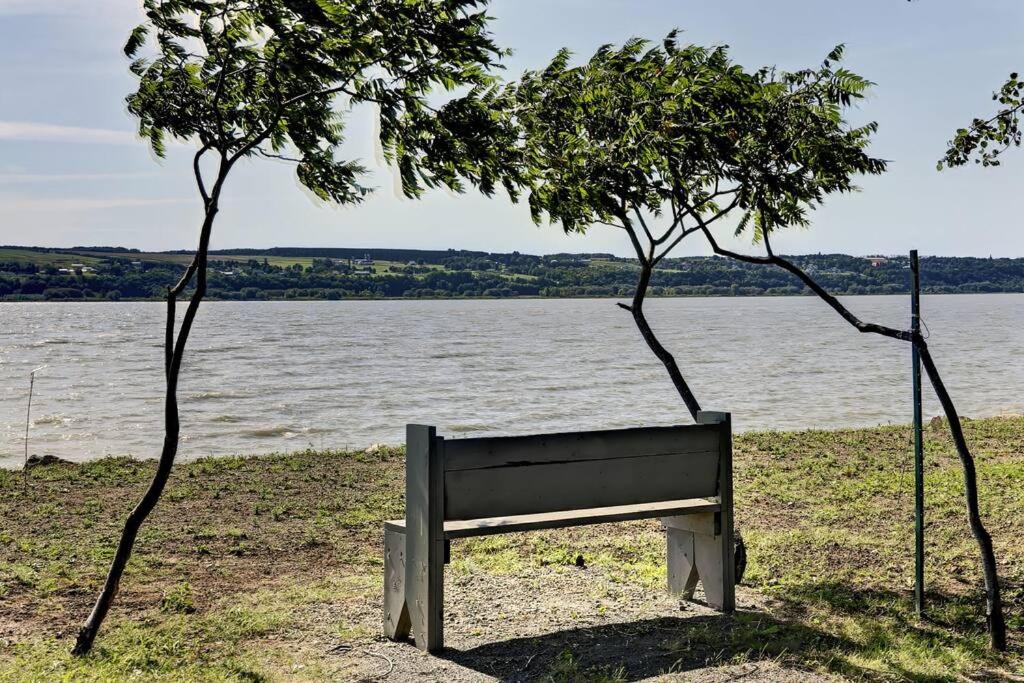 Nouveau - Bord de fleuve, Mont Sainte-Anne et + !