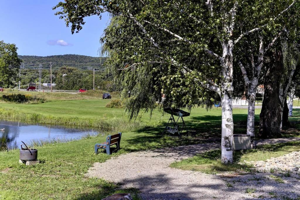 Nouveau - Bord de fleuve, Mont Sainte-Anne et + !
