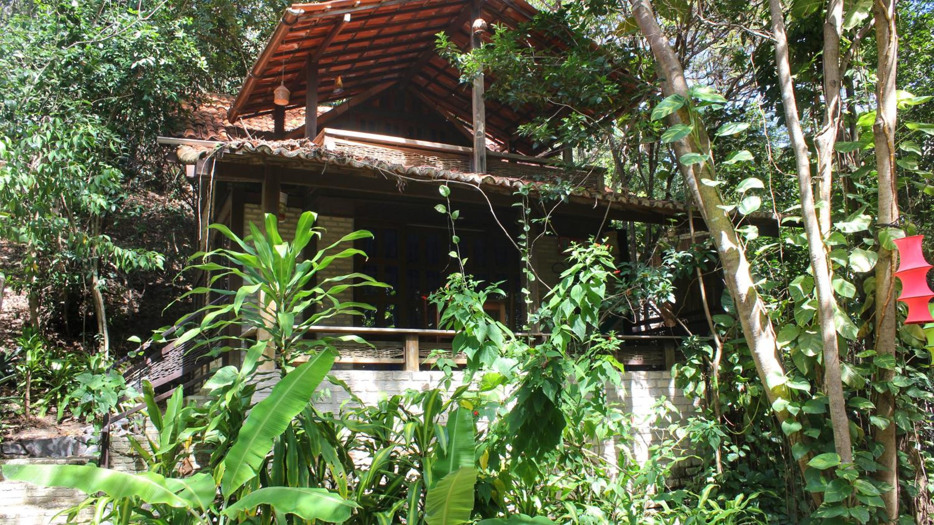 Photo 7