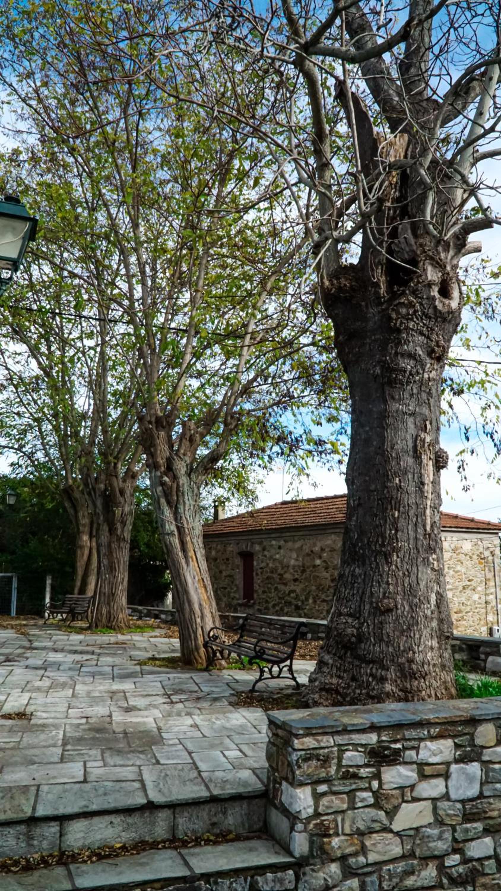 Dandy Villas-Vintage Cottage House-Pelion-Argalasti-Kallithea