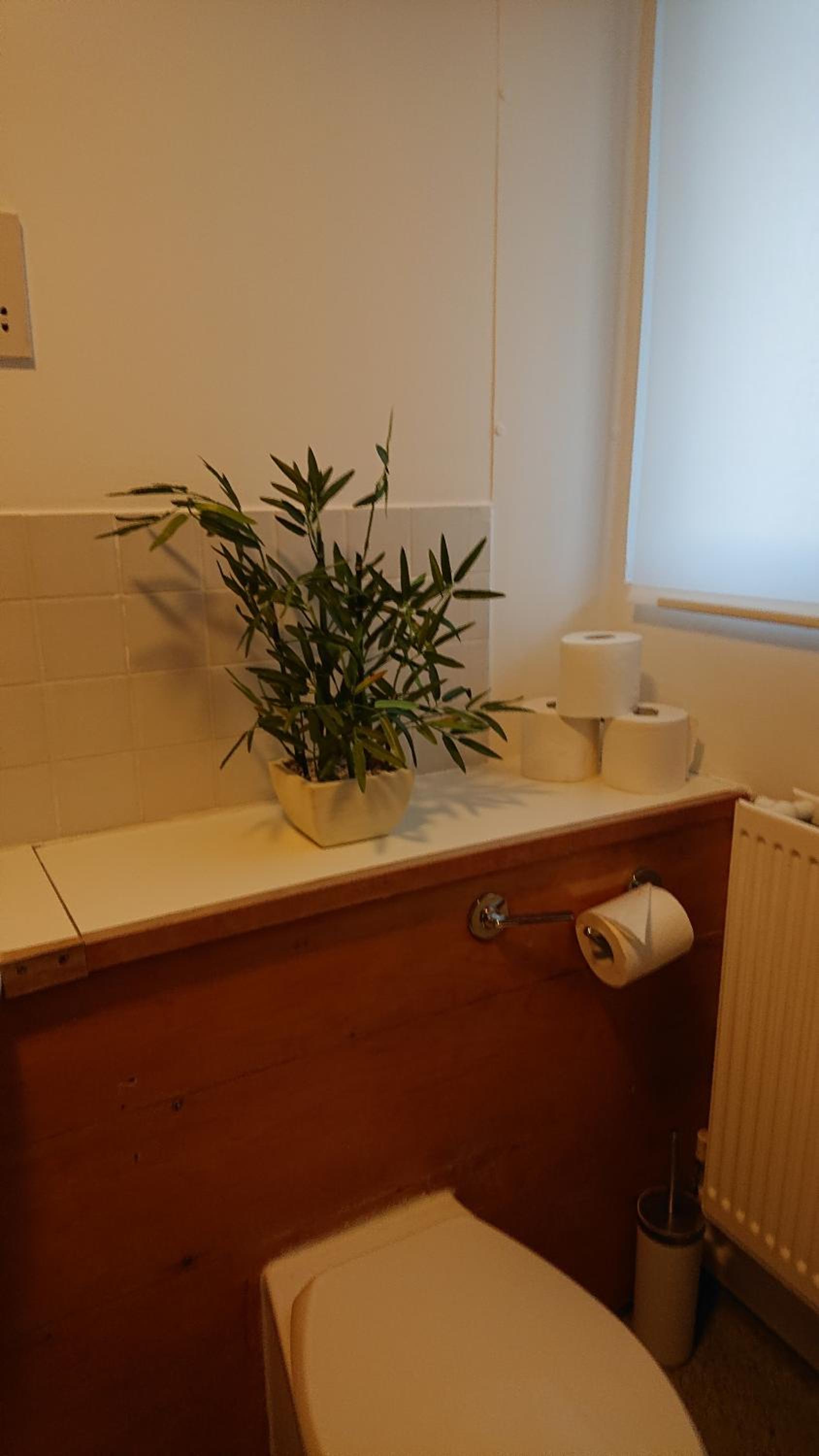 Bright, Nice Interior, Close to the City, 2 Bedroom Apartment