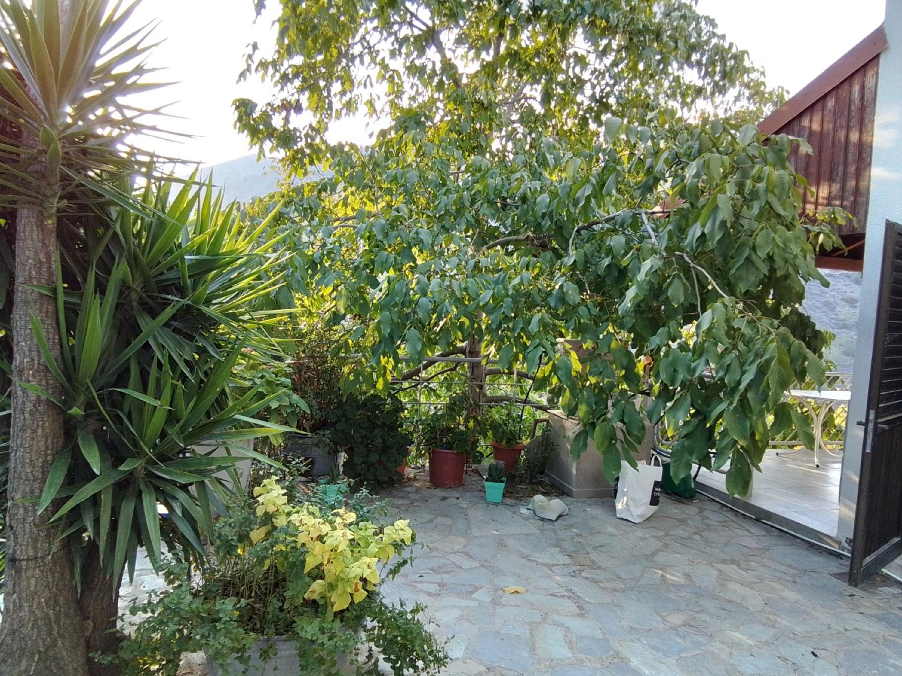 Photo 40