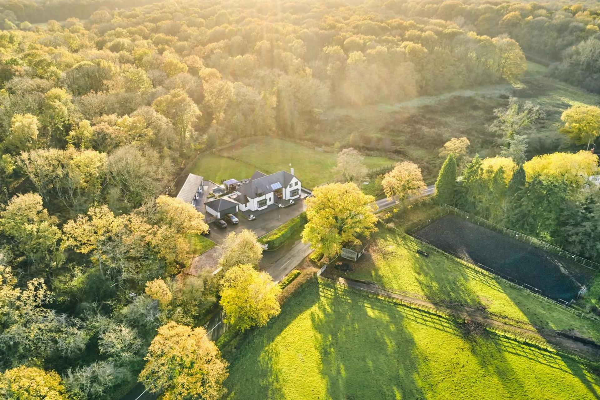 Woodland House view 2