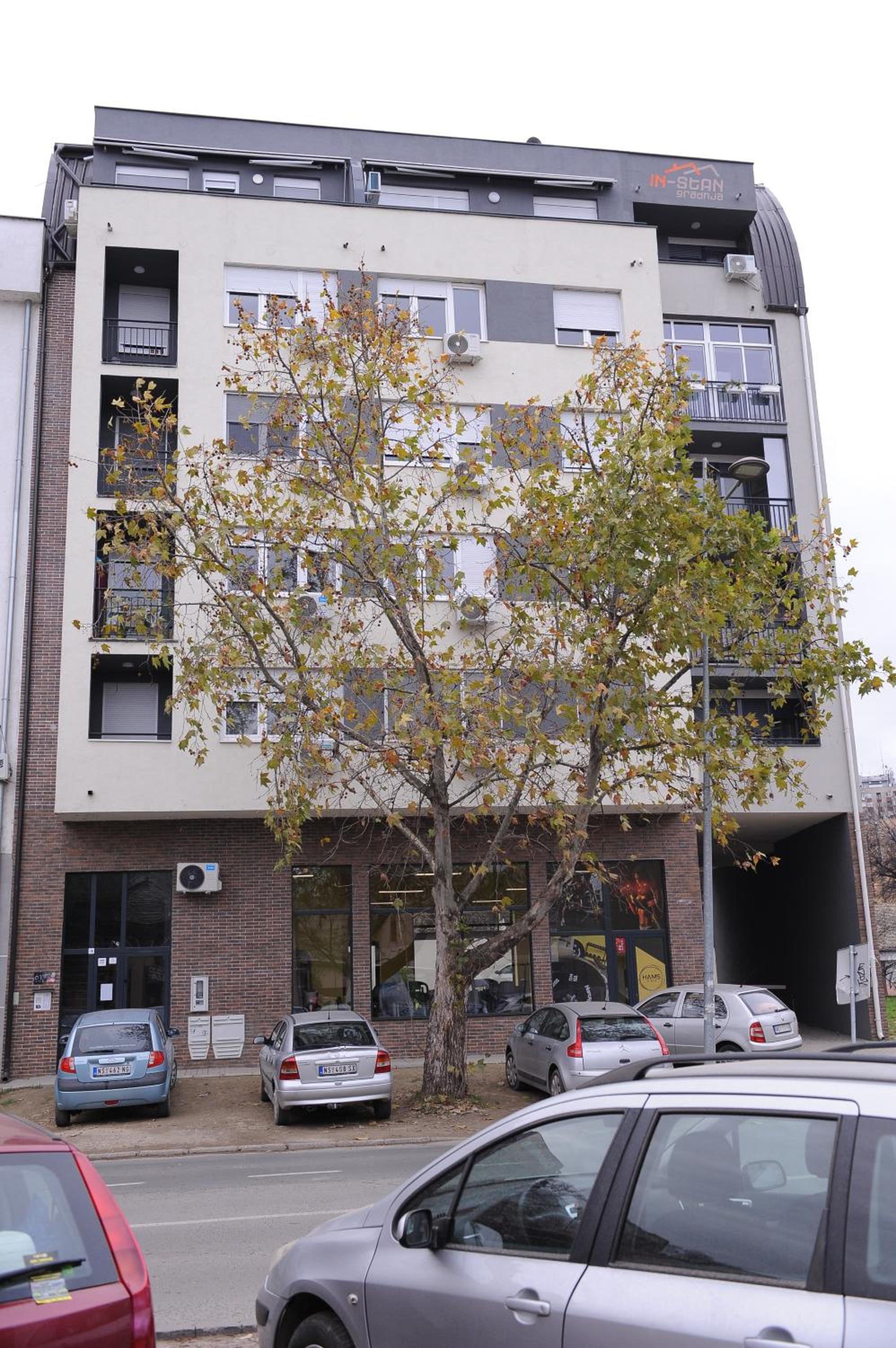 Photo 19