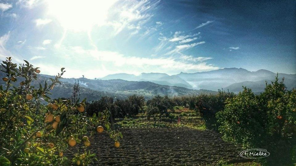 La Carrihuela