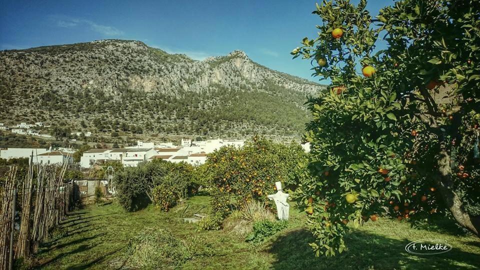La Carrihuela