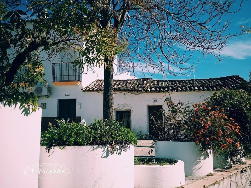 La Carrihuela