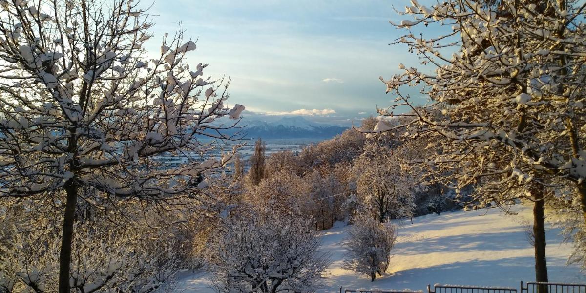 L'Albore view 3