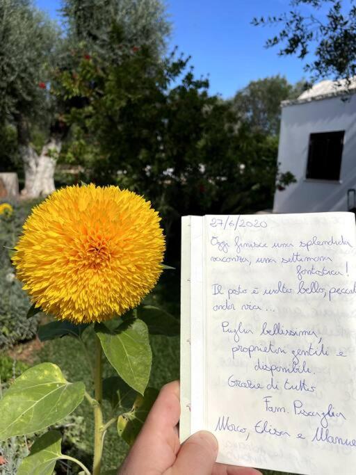 TRULLO CHEFMARCO PRIVATE/SALTWATER SWIMMING POOL